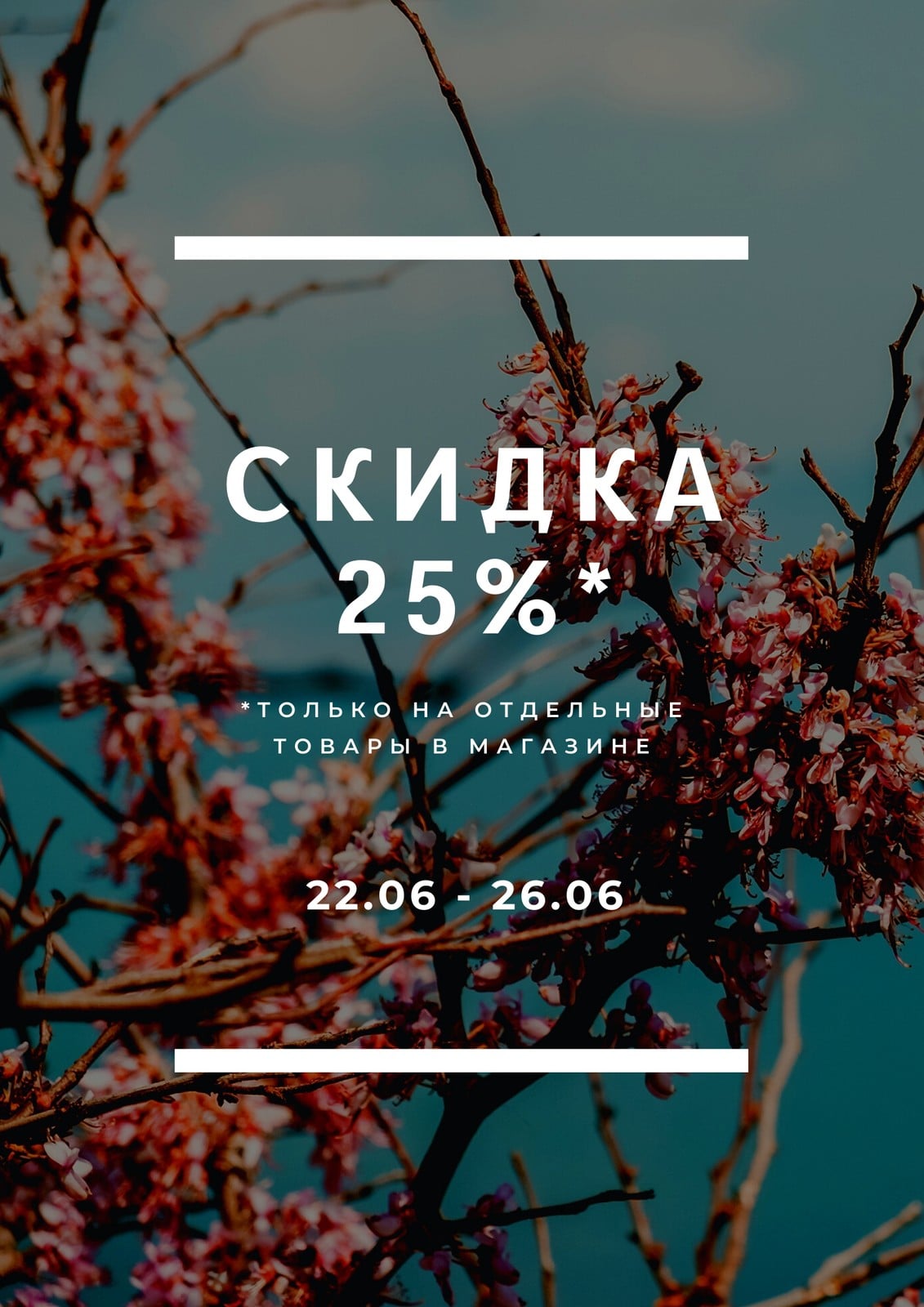 Скидка 25% Объявление Постер
