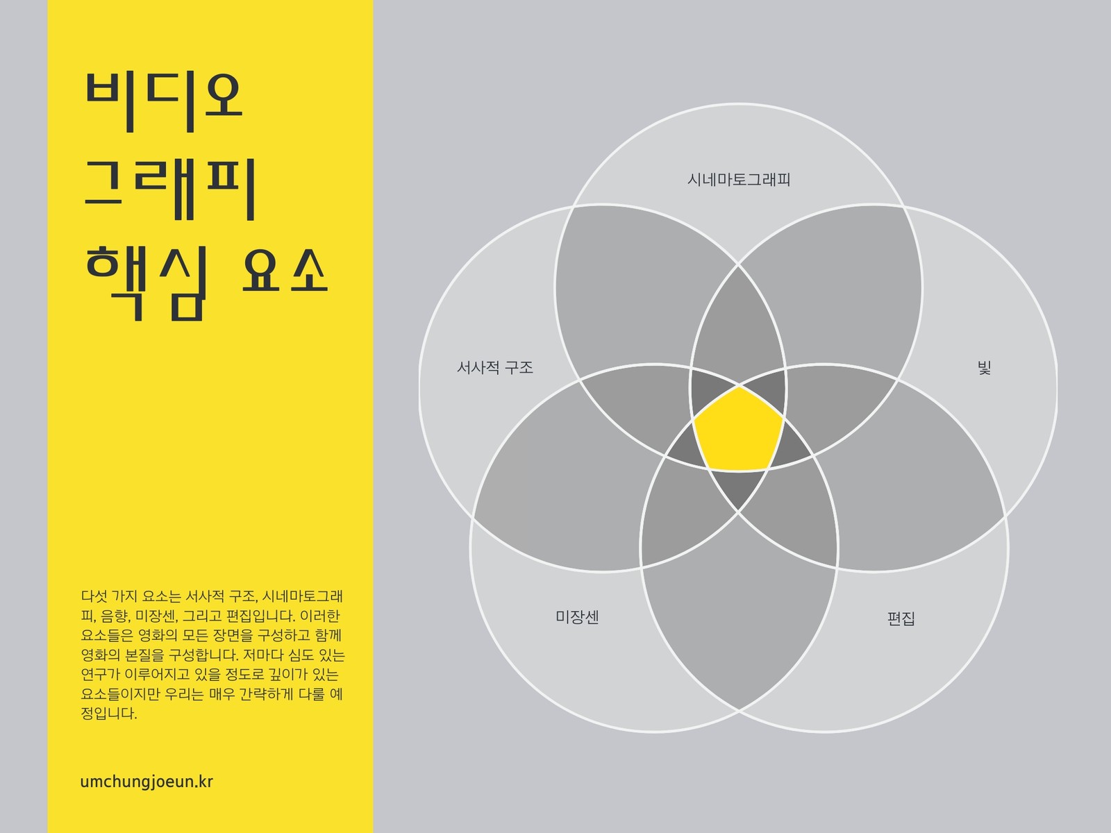 비디오그래피의 핵심 요소 벤 다이어그램