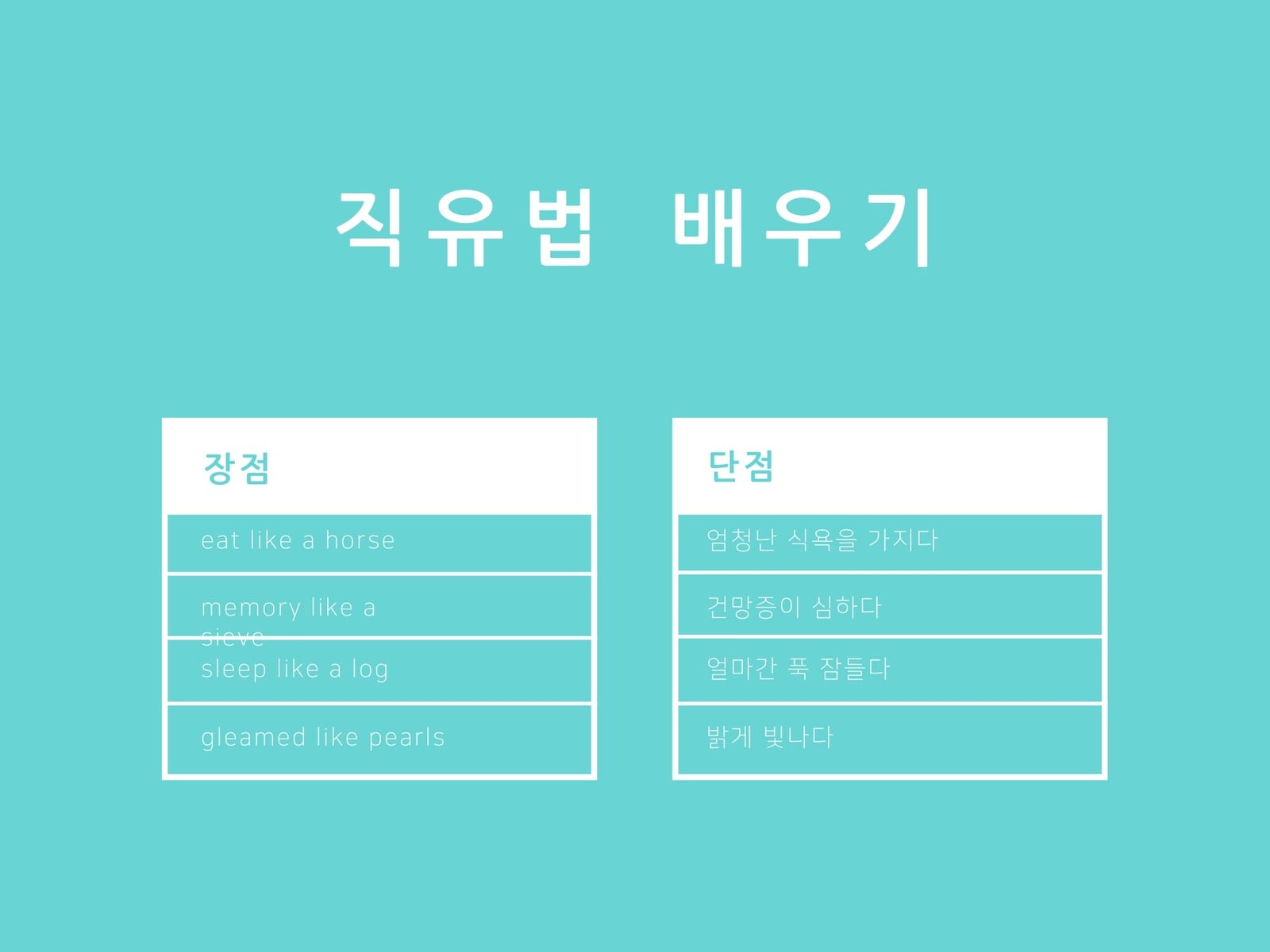 사이언색 단순한 T 차트