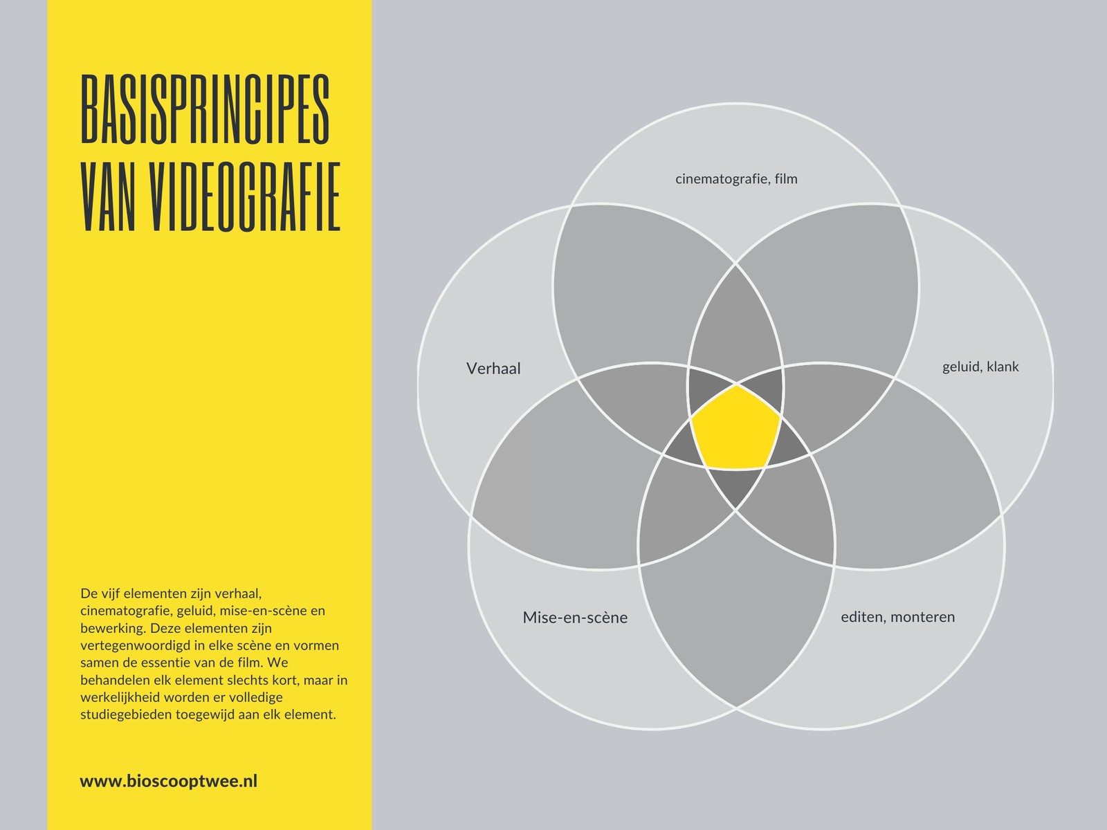 Basisbegrippen van Videografie Venndiagram