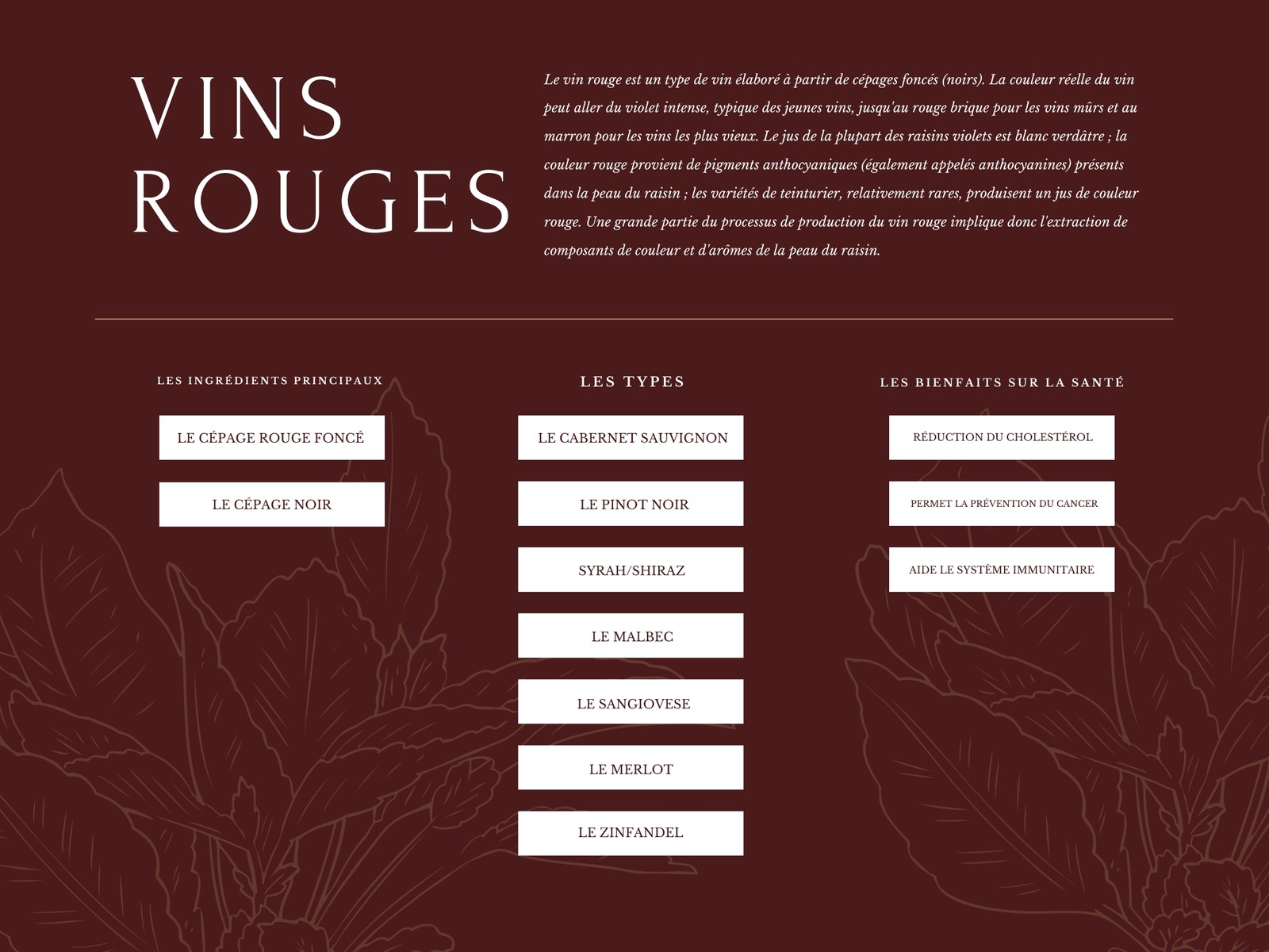 La carte heuristique du vin rouge