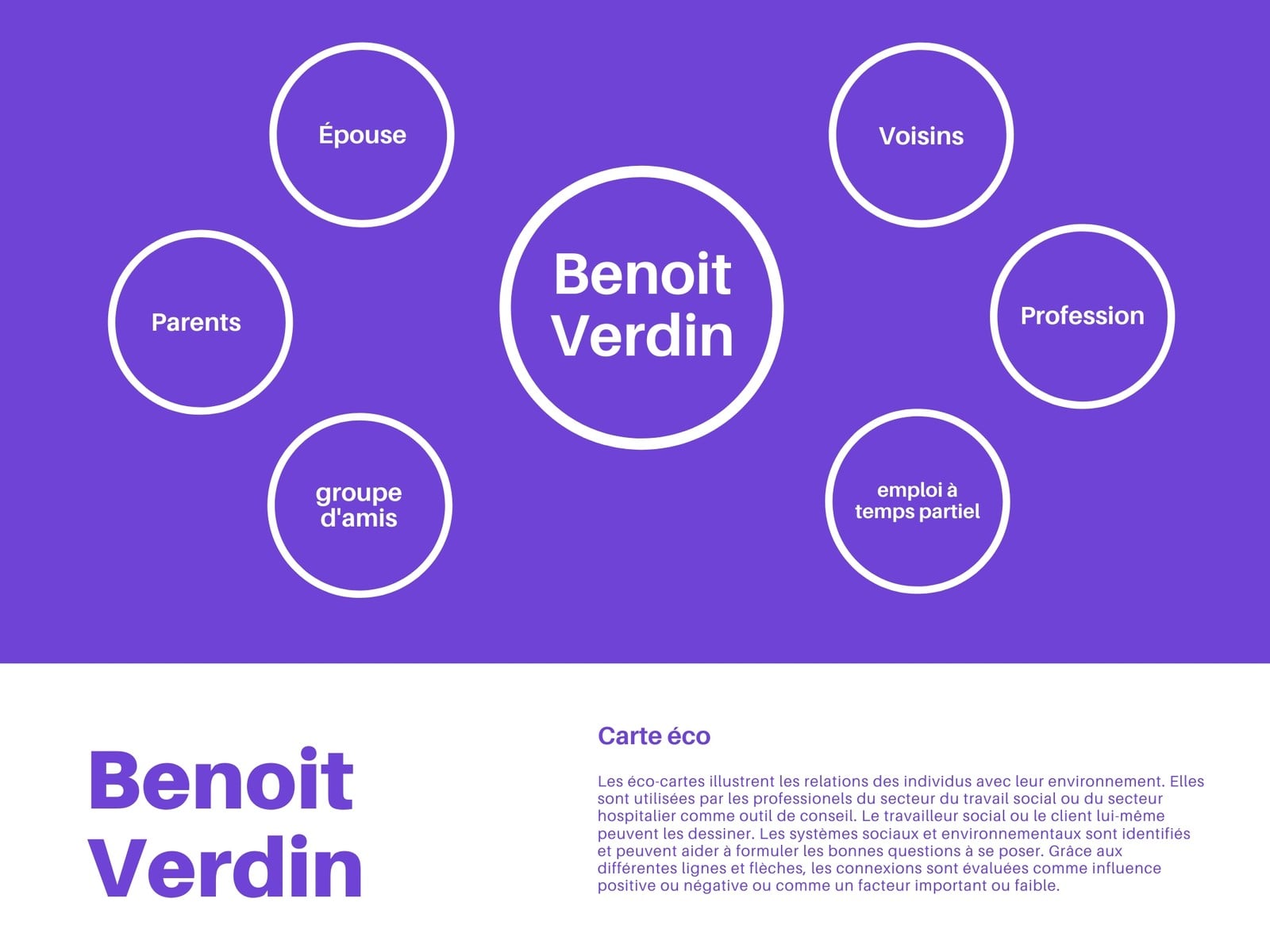 Violet Cercle Eco Carte Diagramme