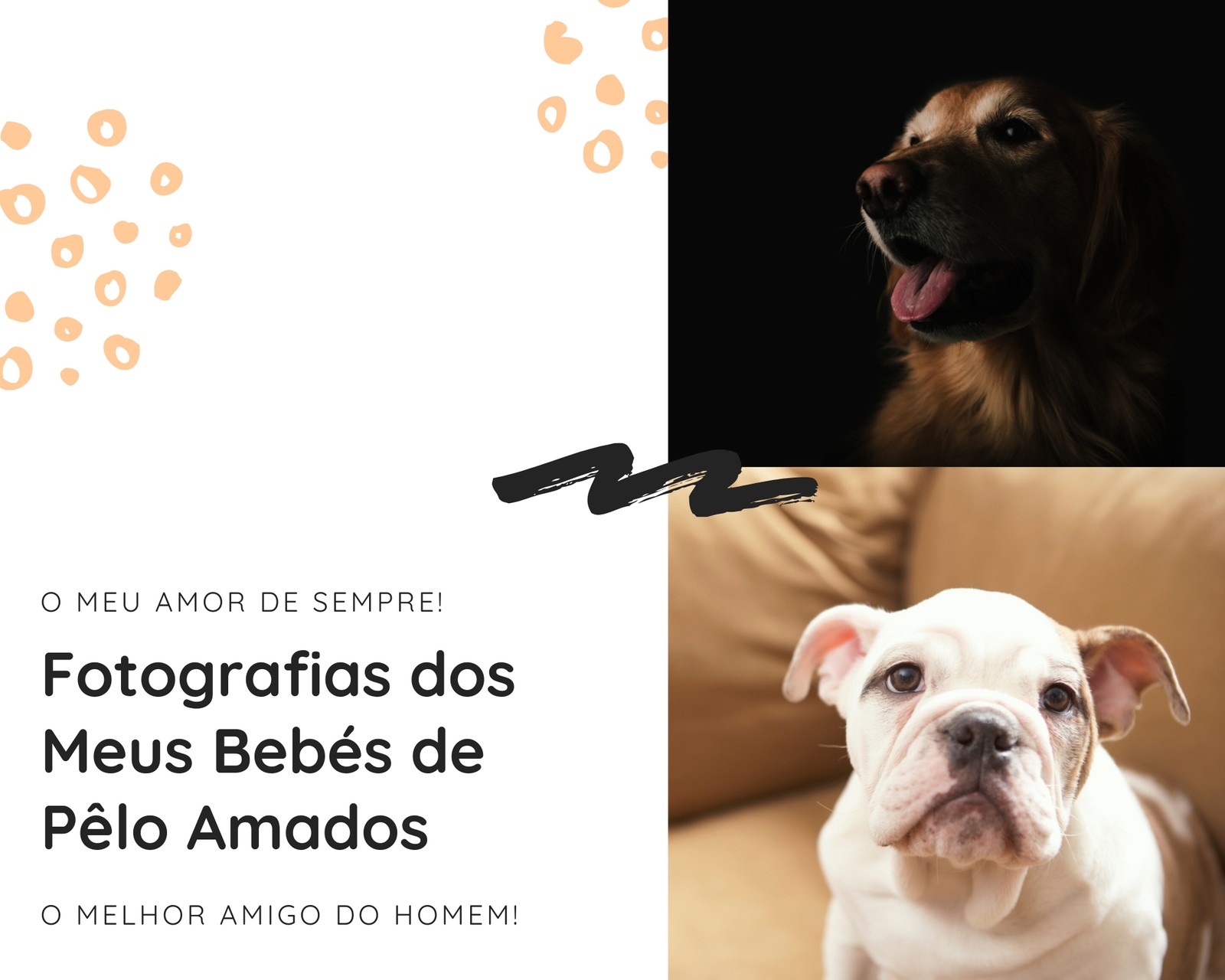 Álbum de recortes de cães de raça abstrato a escuro Álbum de recortes de cães de raça abstrato a escuro