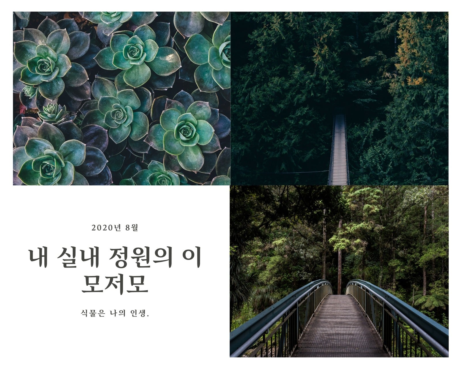 초록색 자연 사진 책 콜라주