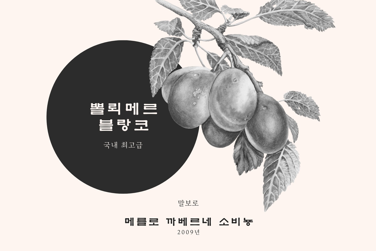크림색 및 검은색 라벨 및 과일 수채화 와인 라벨 크림색 및 검은색 라벨 및 과일 수채화 와인 라벨