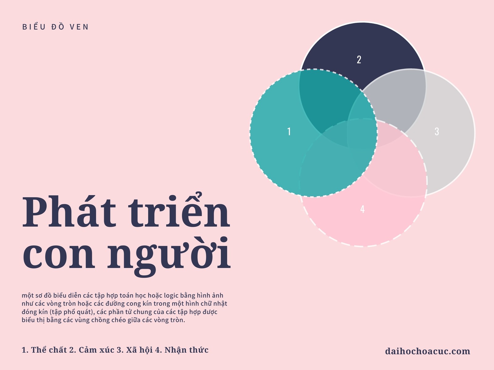 Con người Phát triển Ven Biểu đồ
