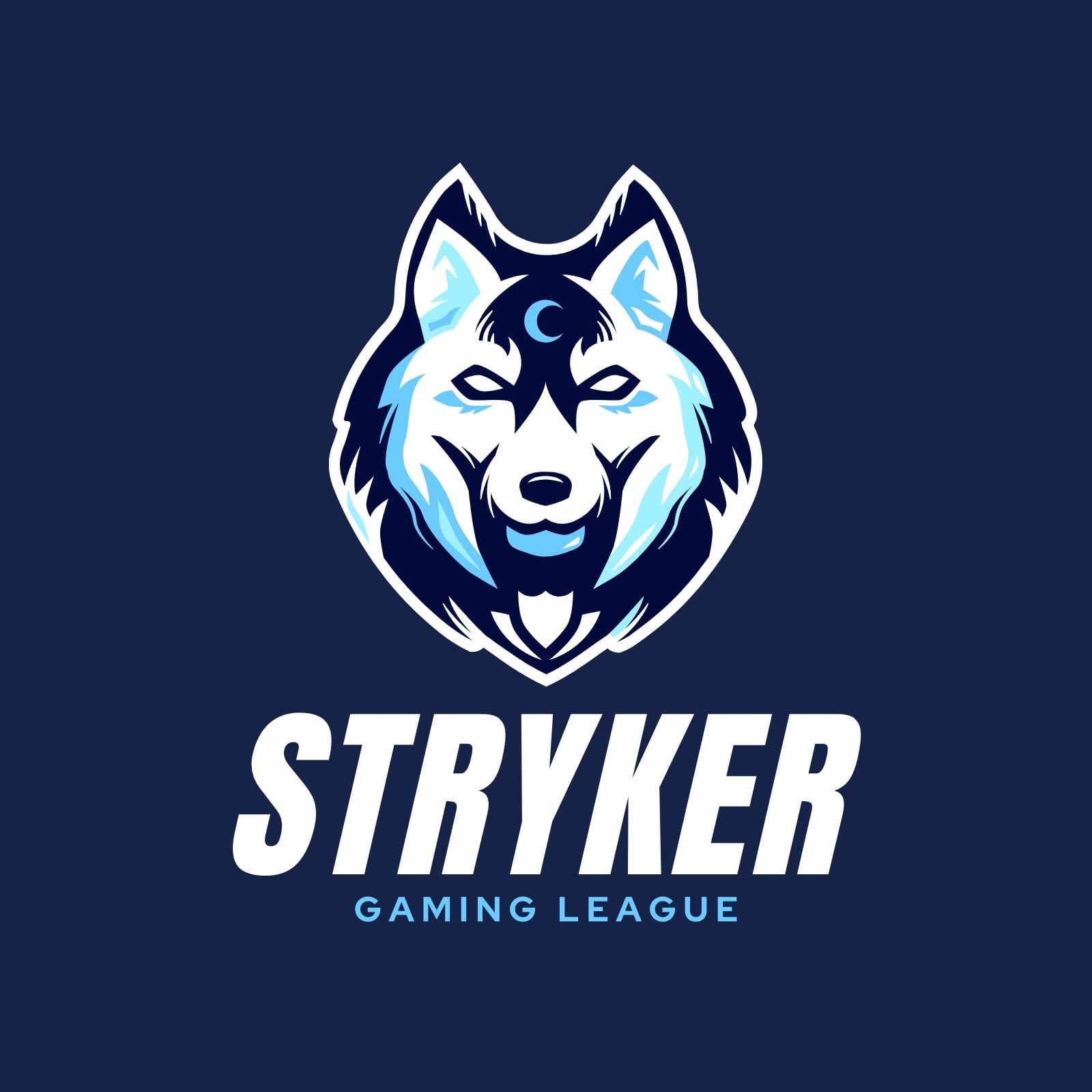Blue and White Gaming Logo Blue and White Gaming Logo
