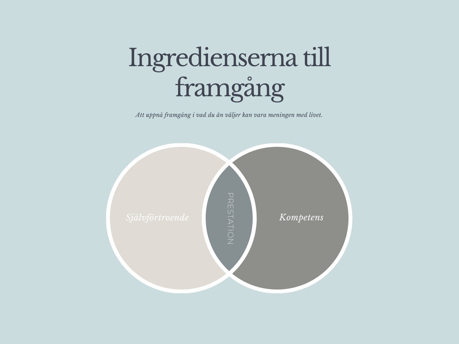 Ingredienserna i Framgång