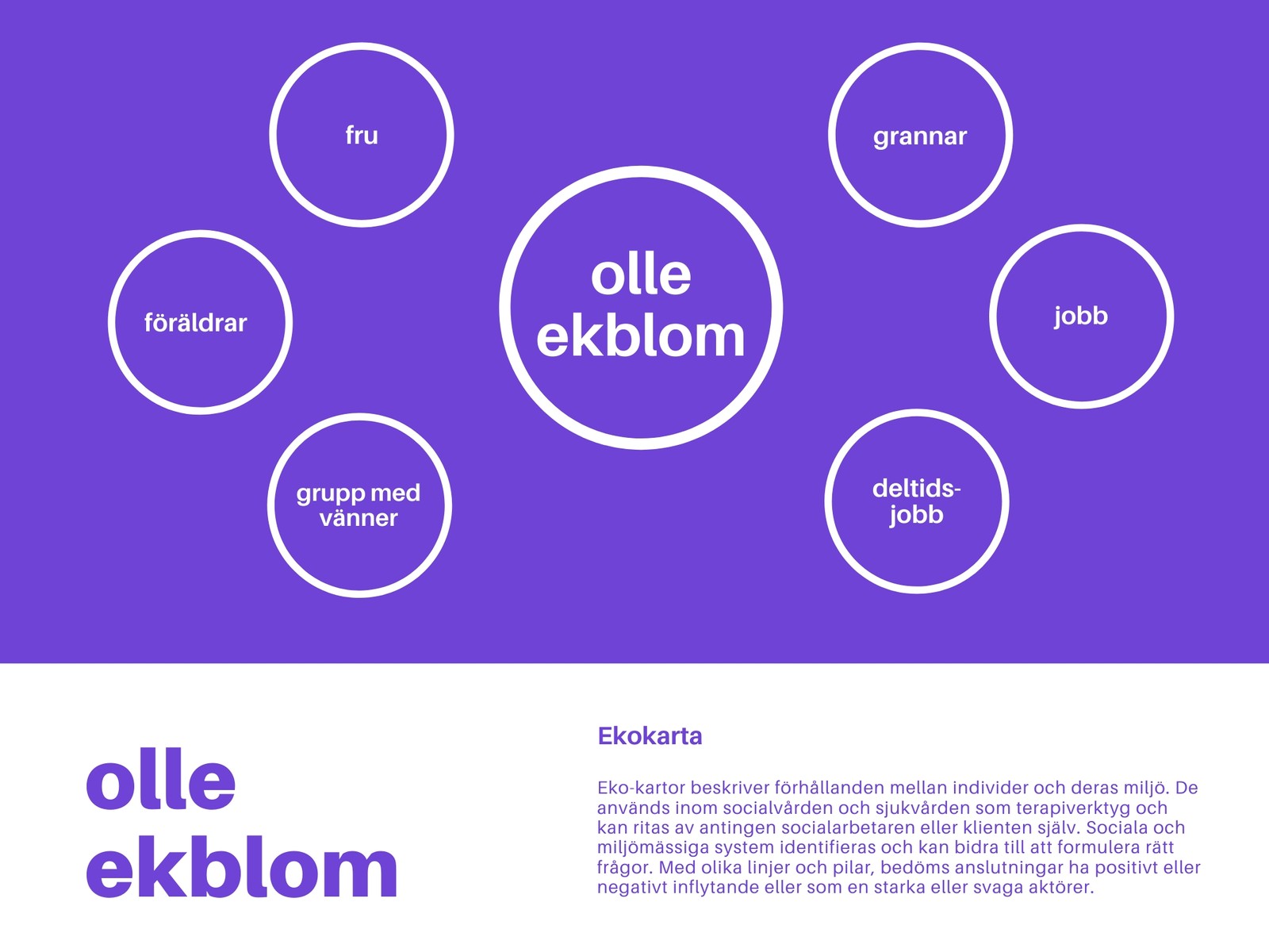 Lila Cirkel Ekokarta Diagram