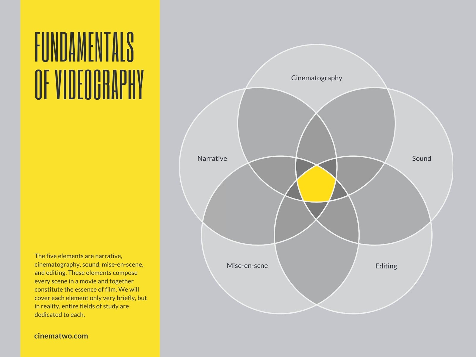 Fundamentals of Videography Venn Diagram