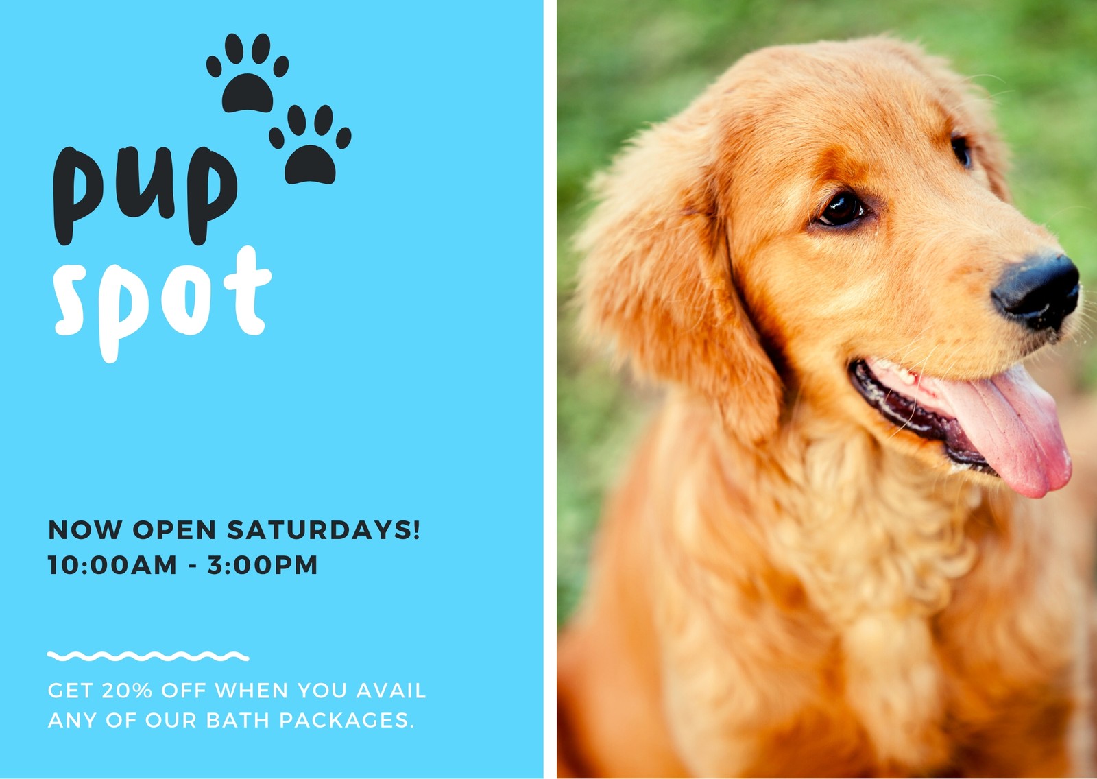 Dog Grooming Direct Mail Postcard Dog Grooming Direct Mail Postcard