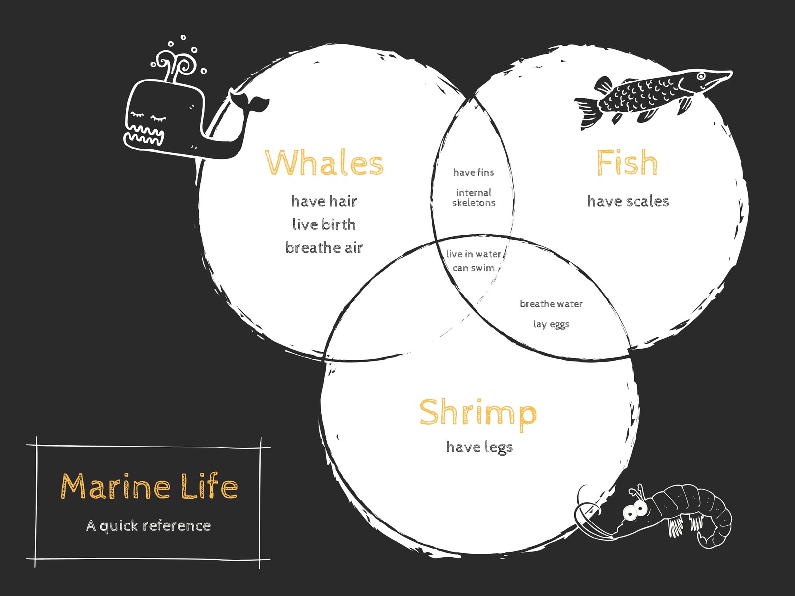 Chalkboard Style Venn Diagram