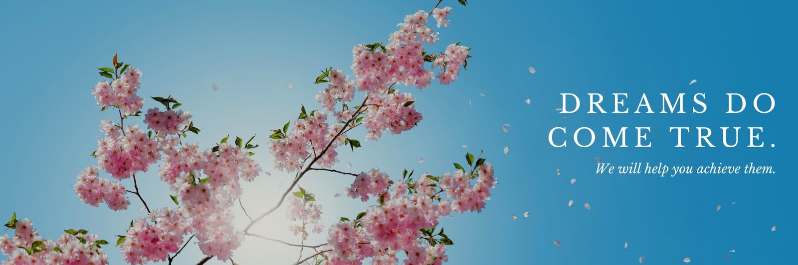 Cherry Blossom Twitter Header
