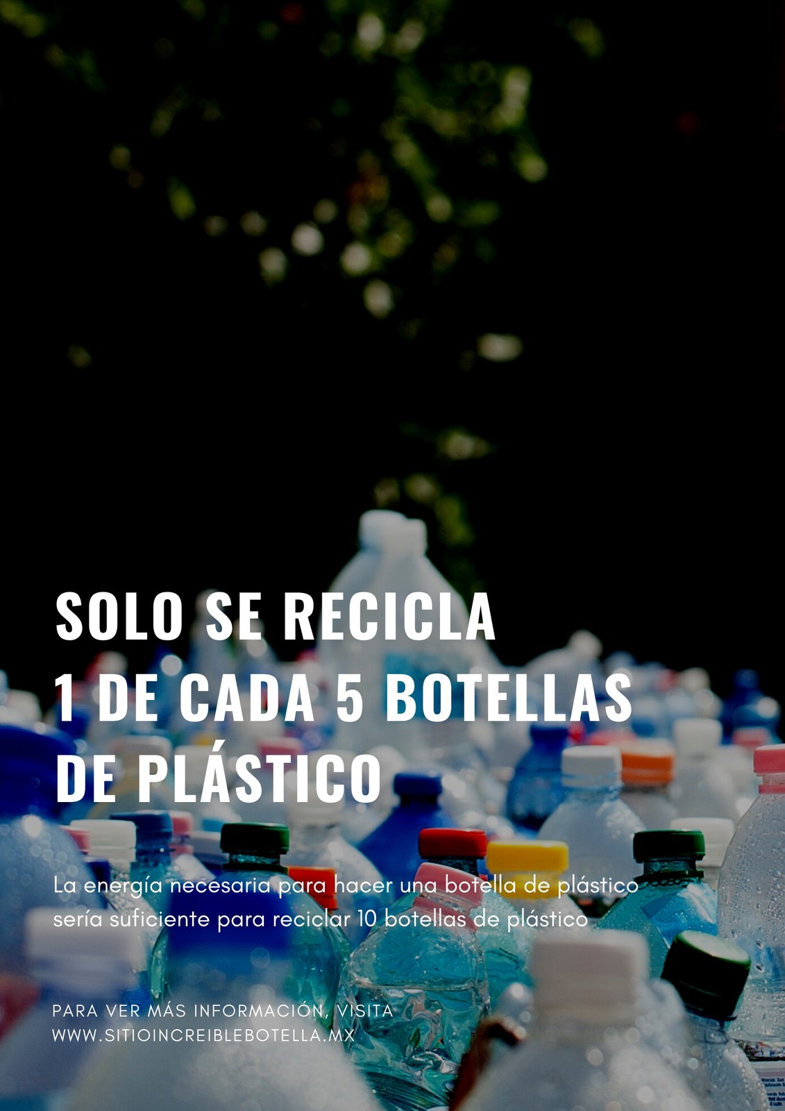 Botella de Plástico Protección Medioambiental Póster Botella de Plástico Protección Medioambiental Póster