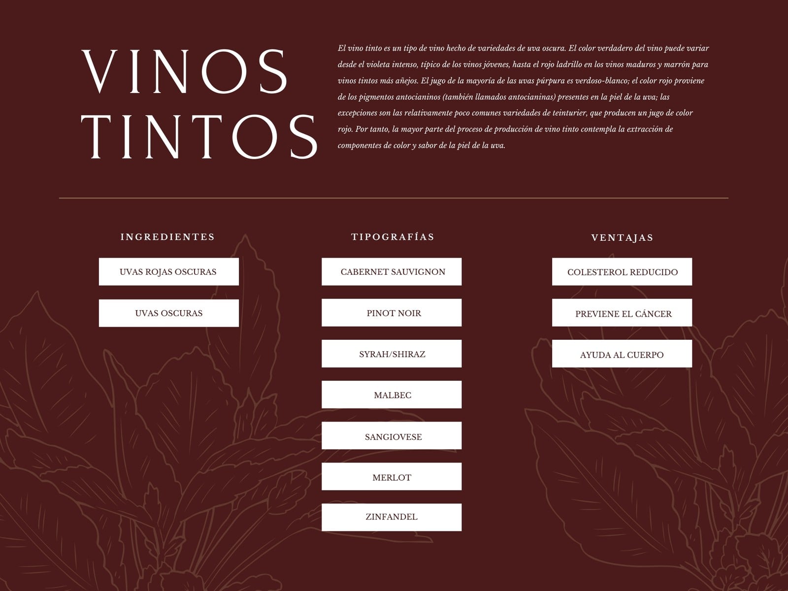 Mapa mental - Vino tinto