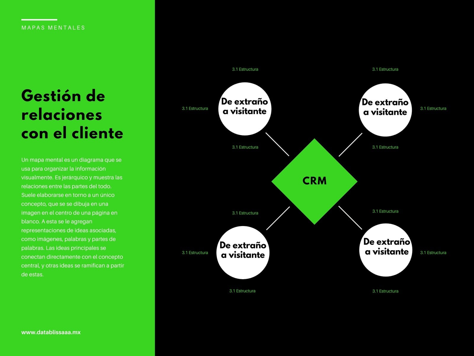Mapa mental - CRM - Verde