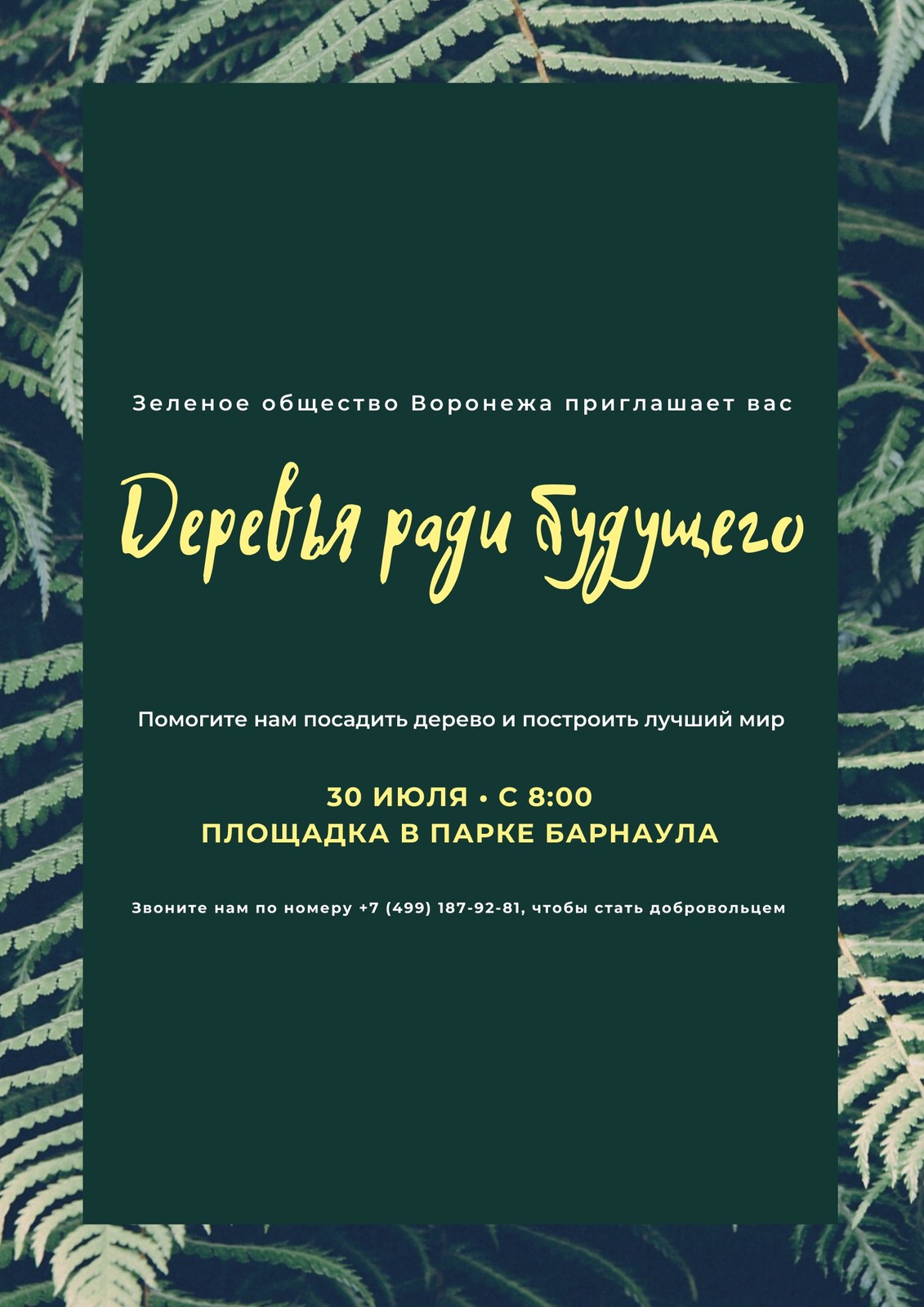 Зеленый Природа Фото Защита окружающей среды Плакат Зеленый Природа Фото Защита окружающей среды Плакат