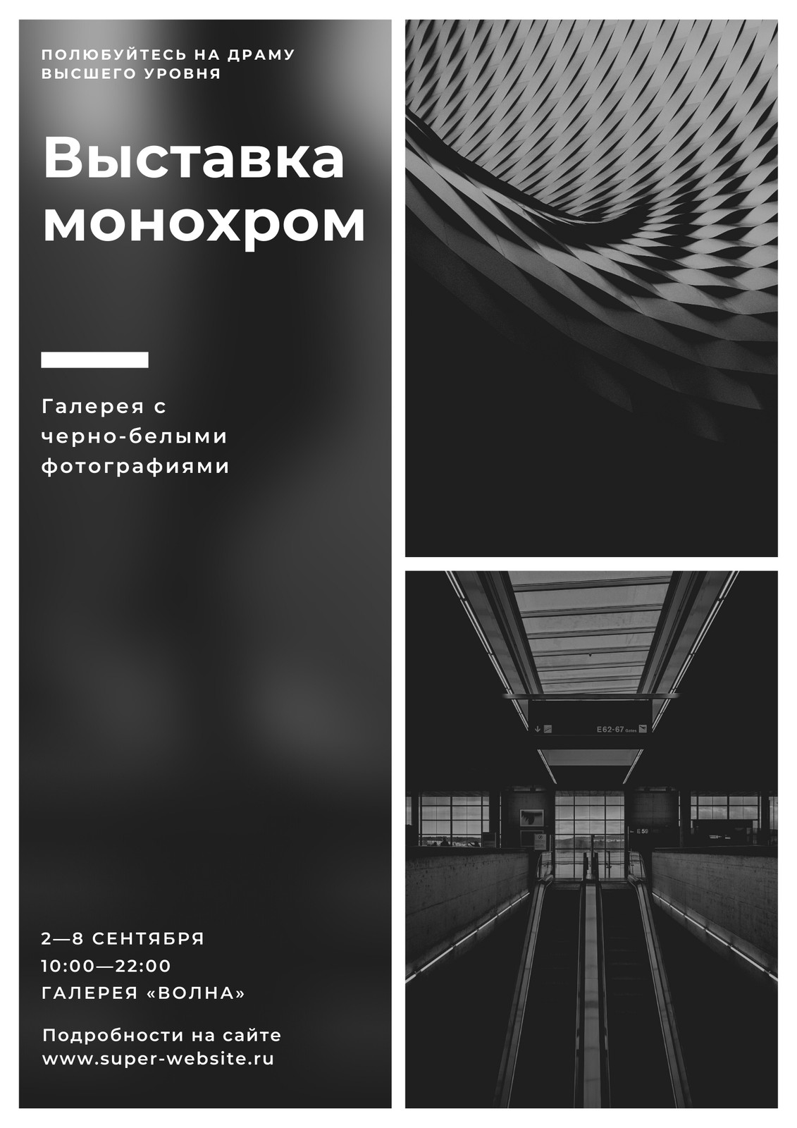 Фото Выставка Черно-Белый Плакат