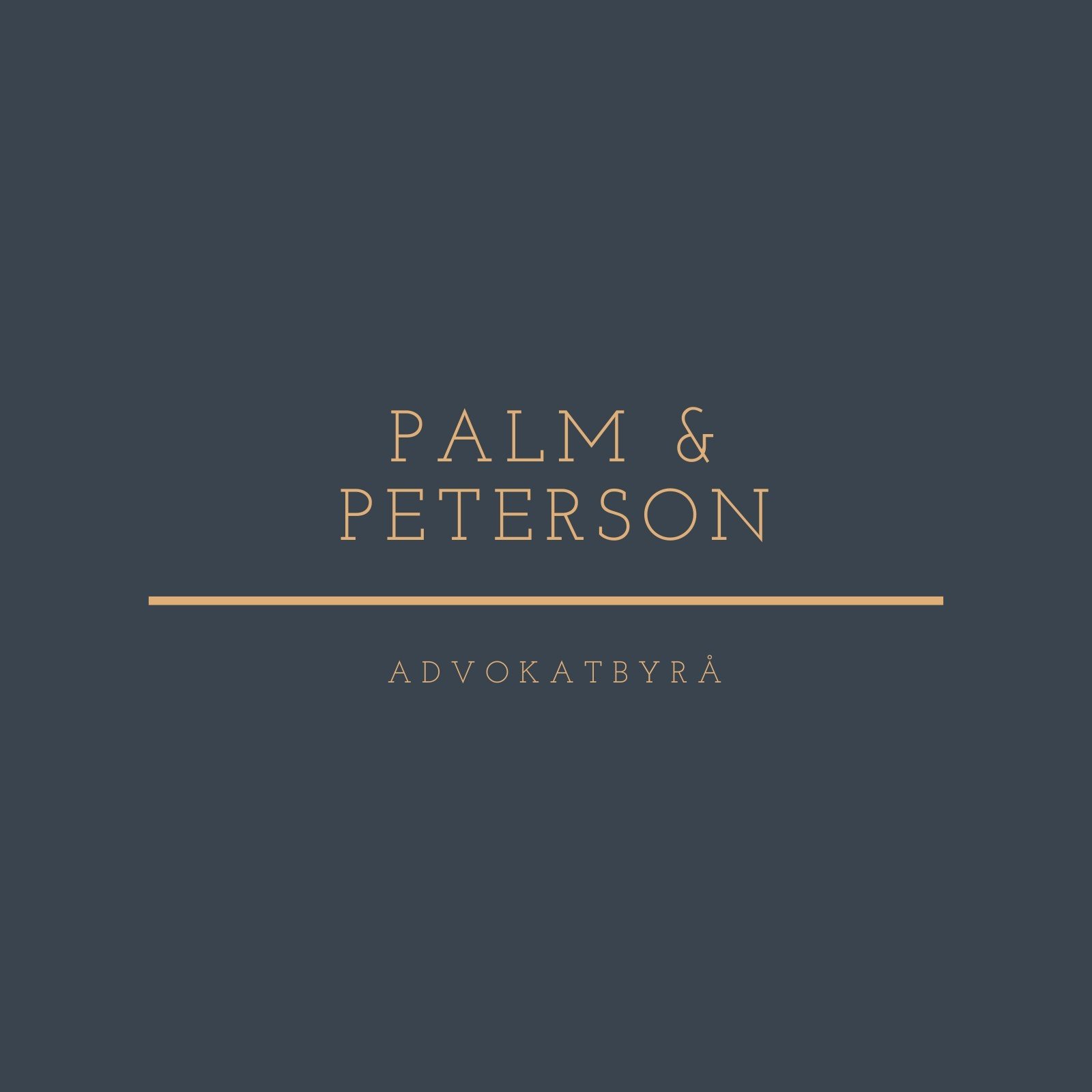 Grå och Brun Linje Advokat & Juridik Logga