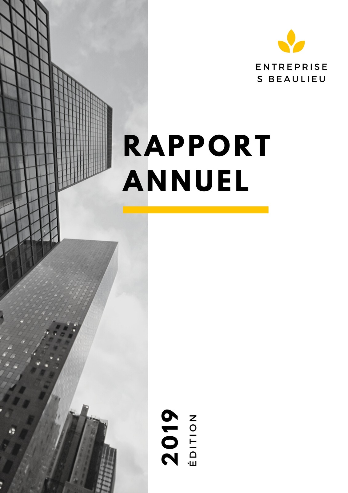 Rapport annuel professionnel Rapport annuel professionnel