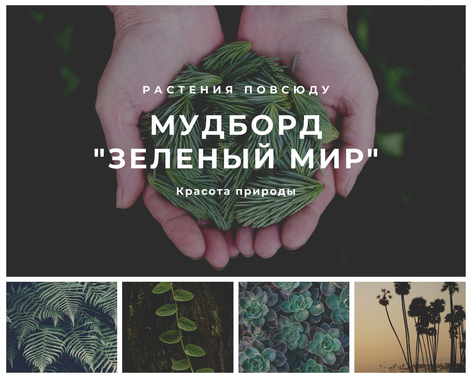 Зеленые Растения и Деревья Настроение Доска Фото Коллаж Зеленые Растения и Деревья Настроение Доска Фото Коллаж