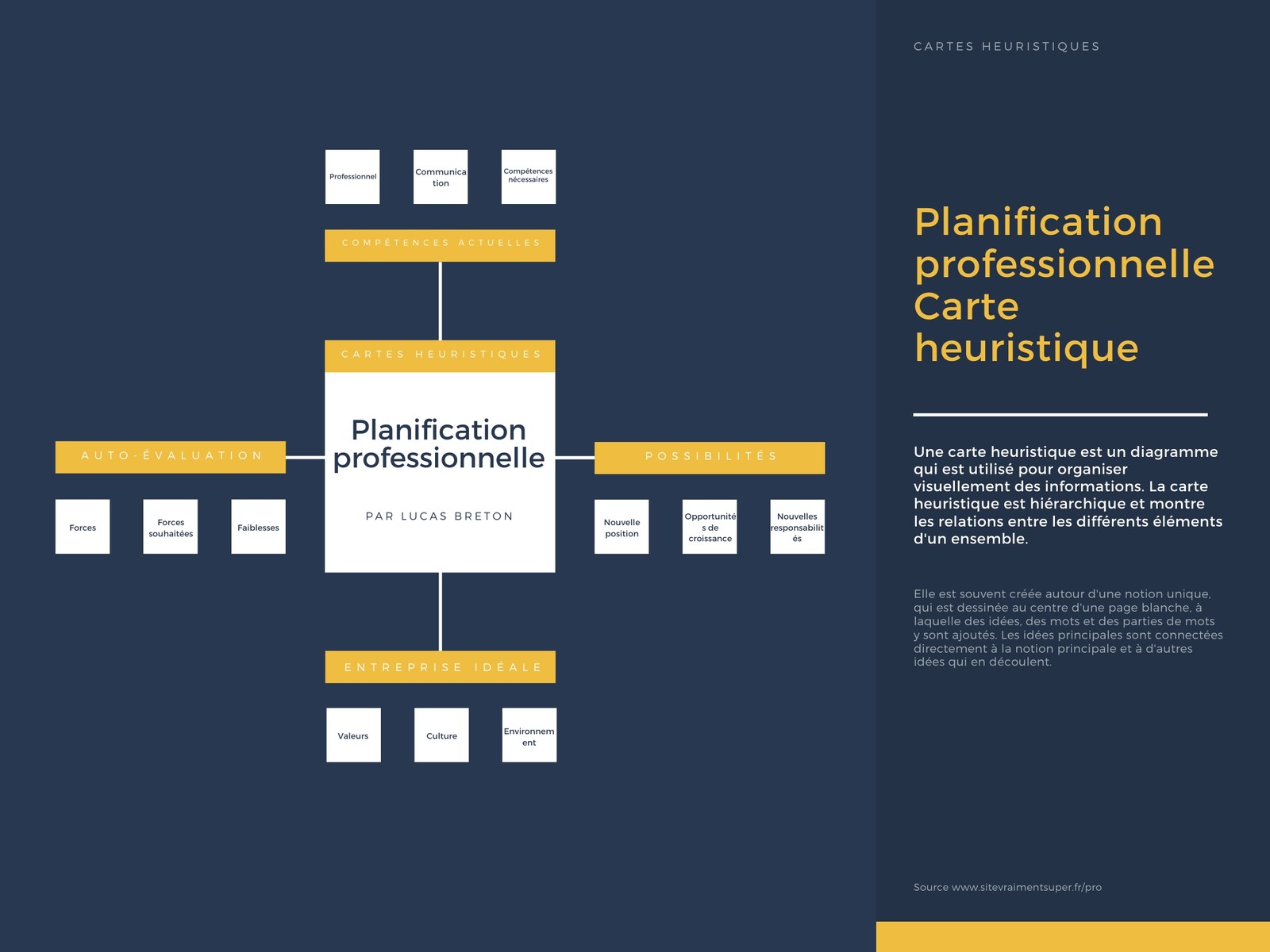 Planification professionnelle Carte heuristique