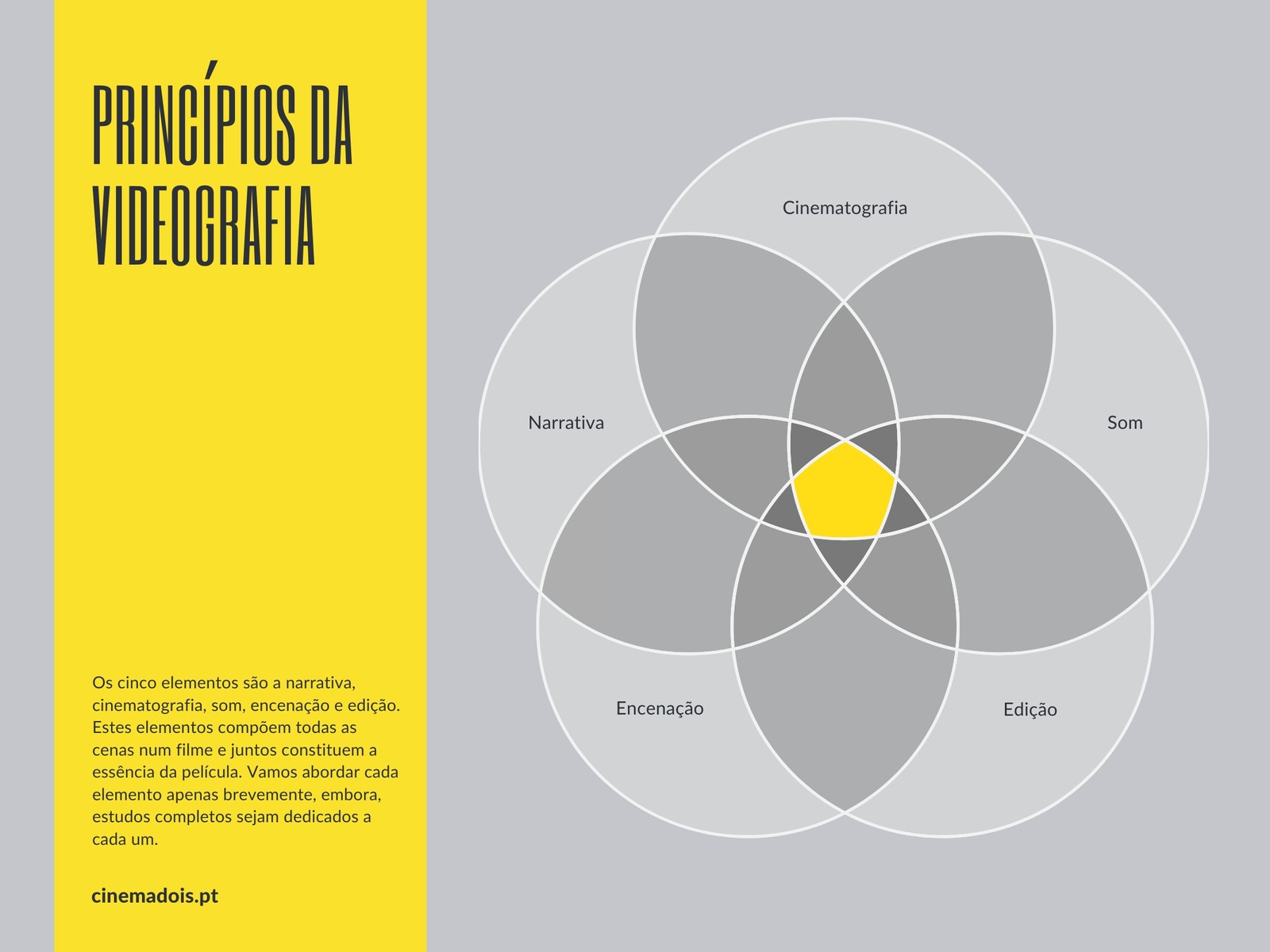 Diagrama de Venn dos Princípios da Videografia
