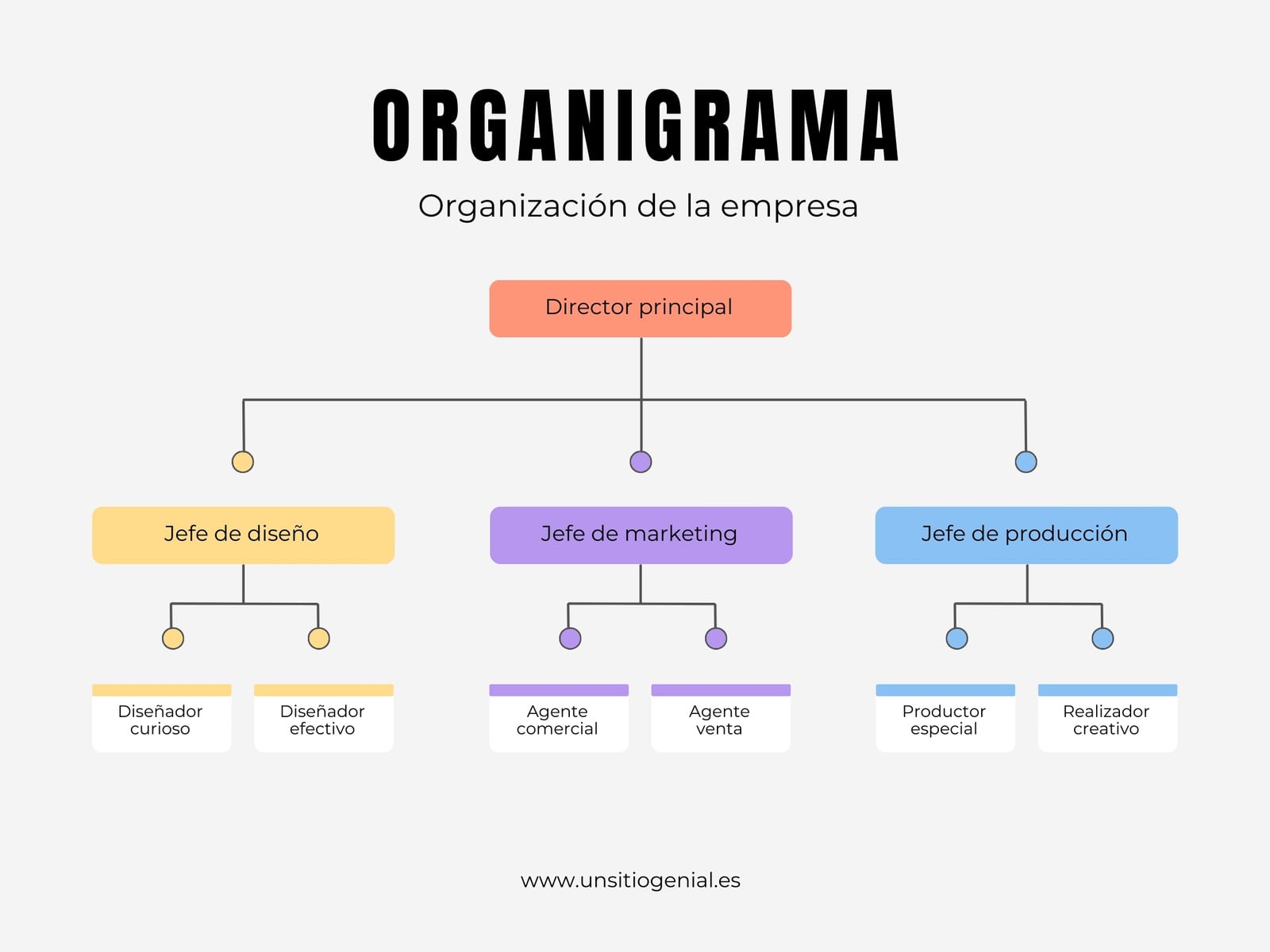 Gráfico de Estructura de Empresa Organización Organigrama Multicolor