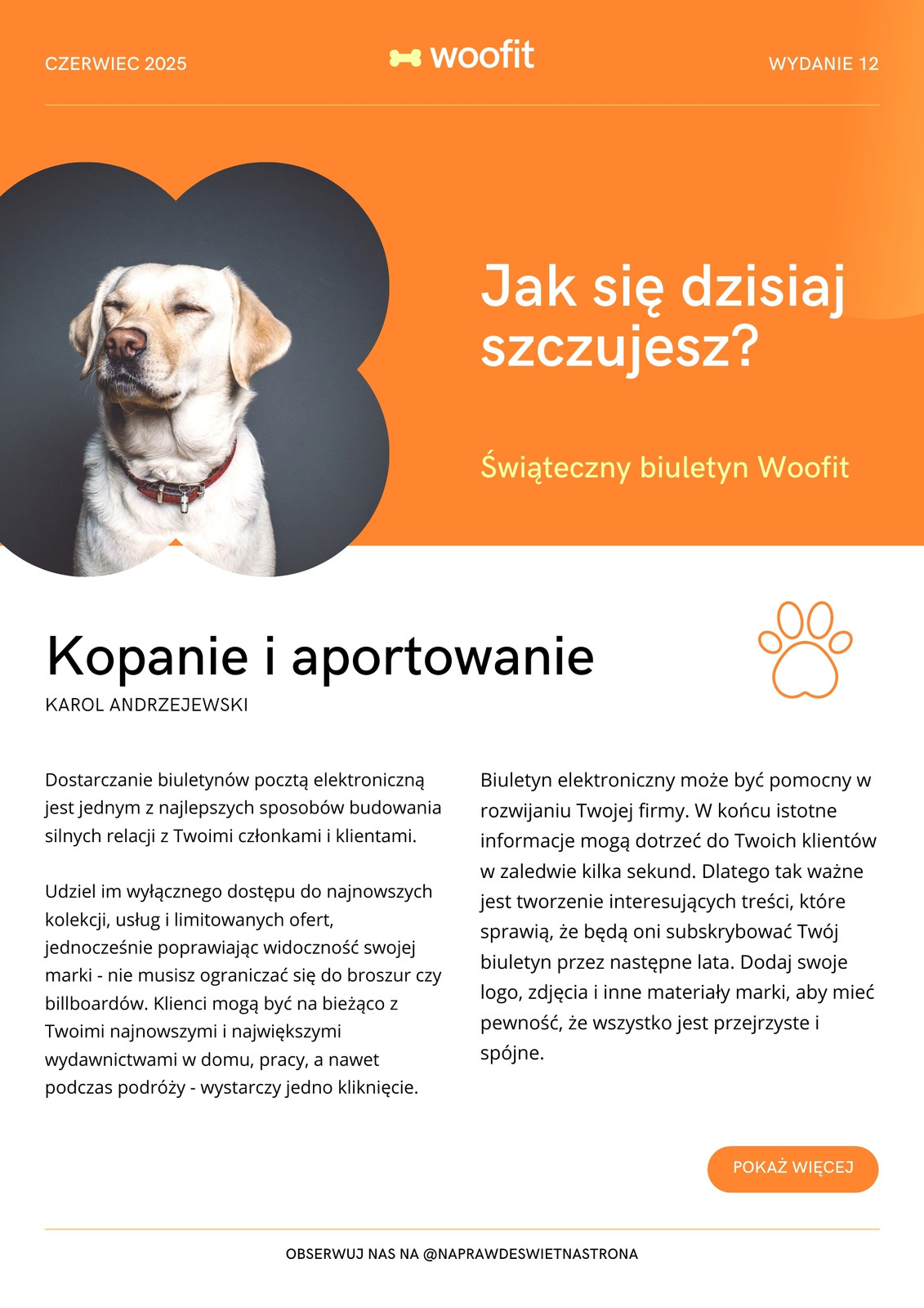 Pomarańczowa i Żółta Profesjonalna Gradient Zwierzęta Domowe Aplikacja Fitness E-mail Biuletyn