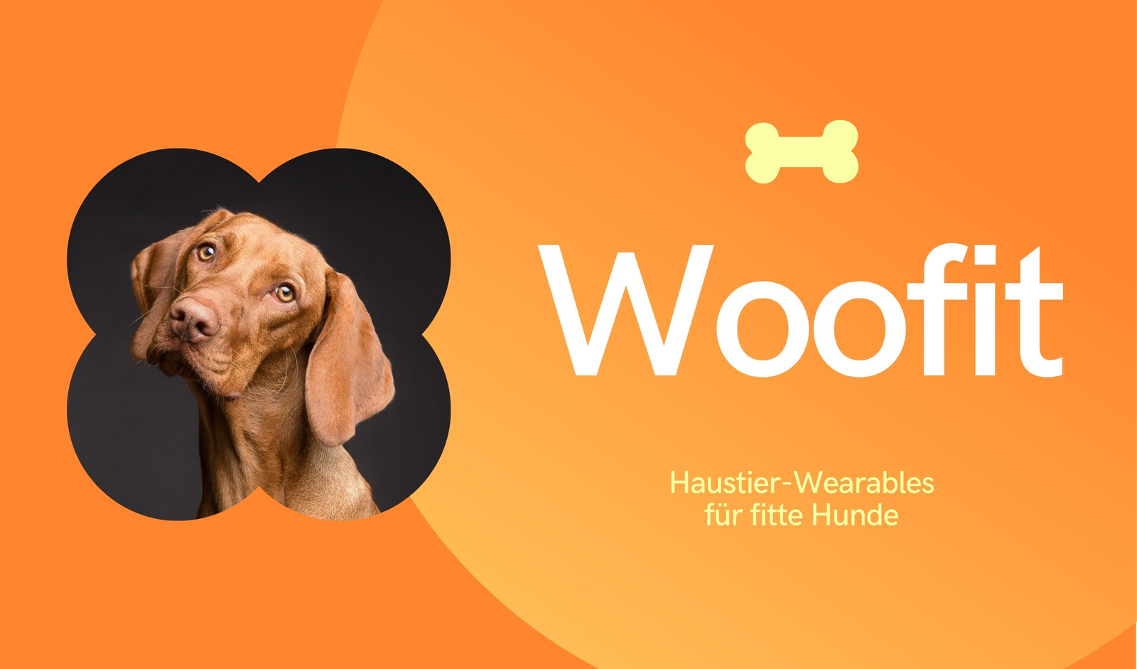 Orangefarben und Gelb Professionell Farbverlauf Haustier Fitness App Visitenkarte Orangefarben und Gelb Professionell Farbverlauf Haustier Fitness App Visitenkarte
