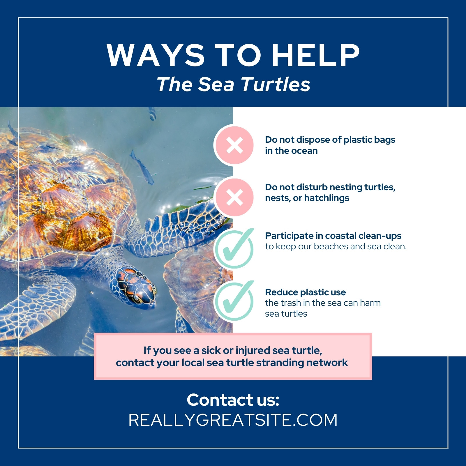Blue Ways to Help the Sea Turtles Instagram Post