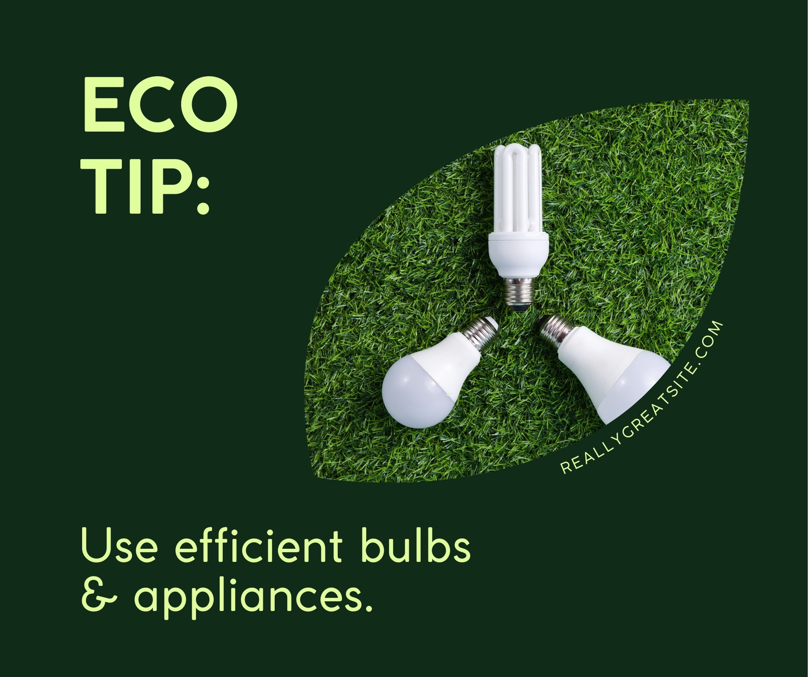 Green Photocentric Empowerment Climate Change Facebook Post