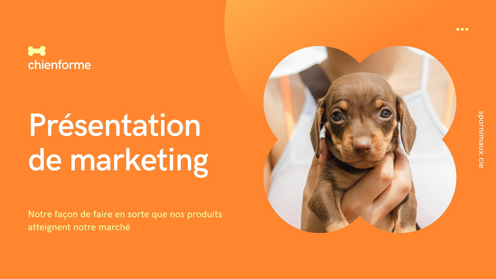 Présentation Orange et Jaune Professionnel Présentation Orange et Jaune Professionnel