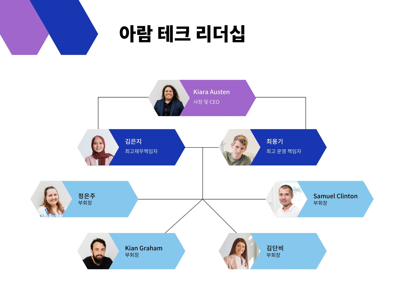 파란색 및 보라색 캐주얼 기업 기술 조직 차트
