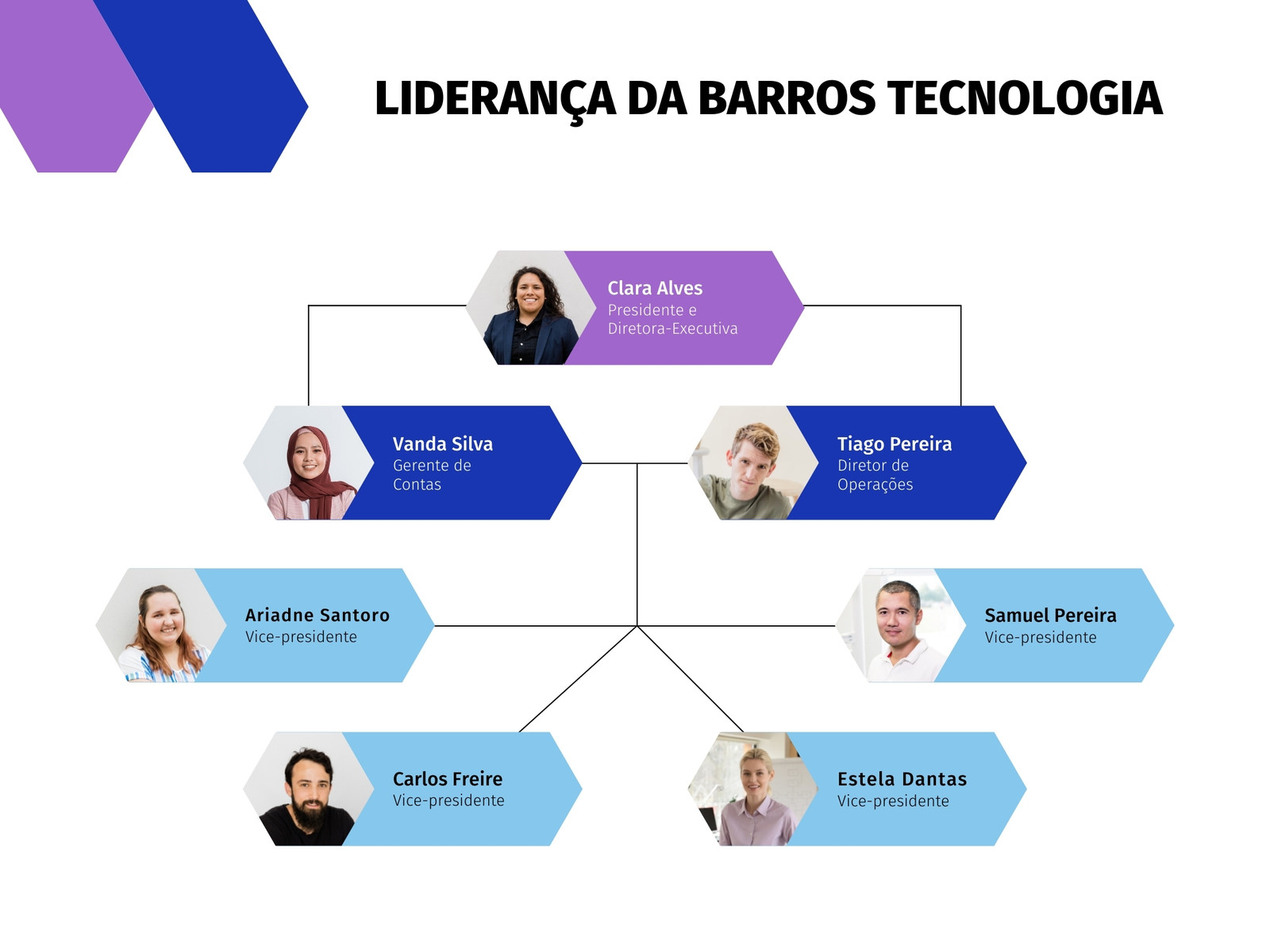 Gráfico Organizacional Tecnologia Corporativo Casual Azul e Roxo