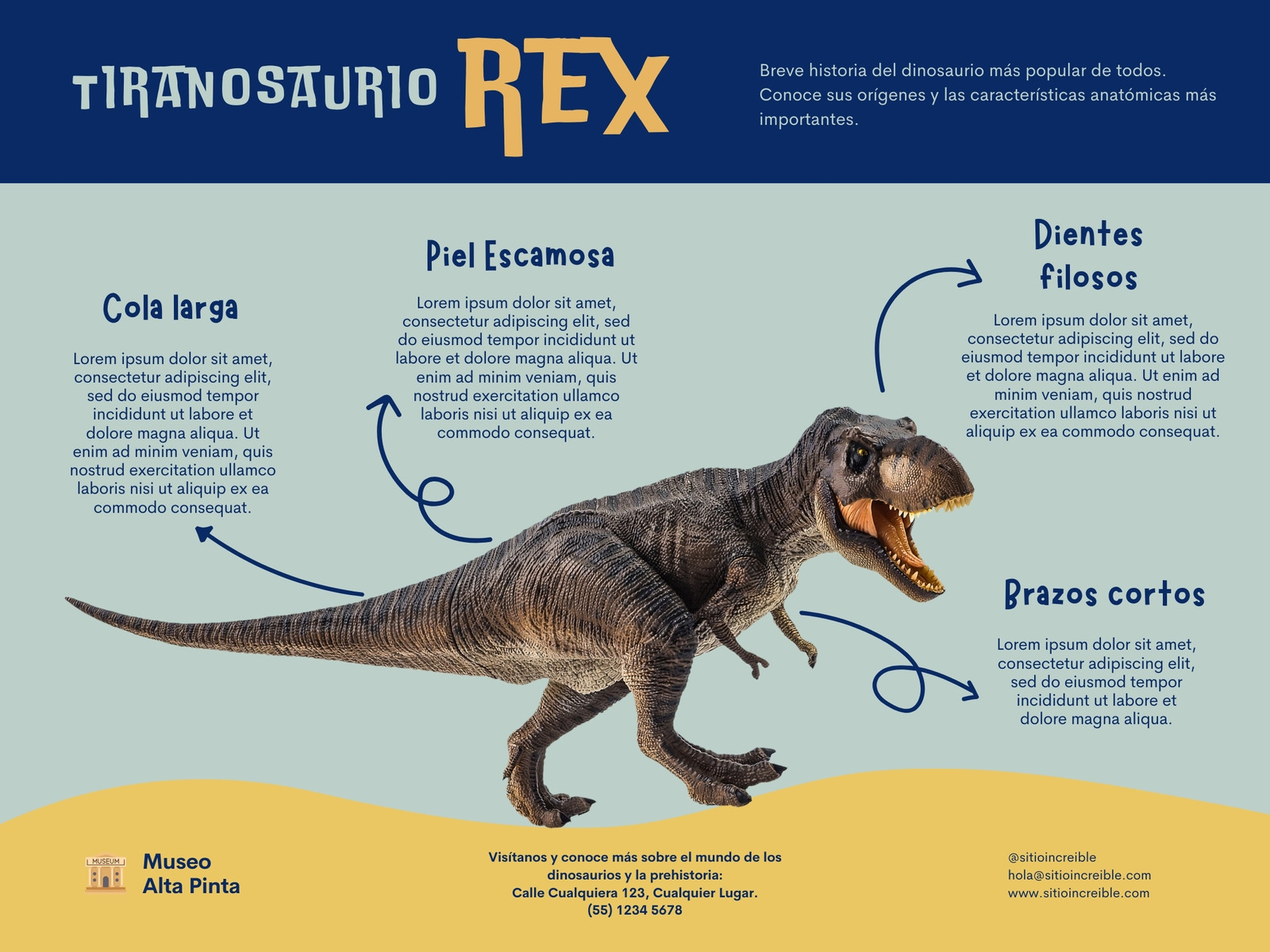 Grafica Diagrama Dinosaurios Infantil Azul