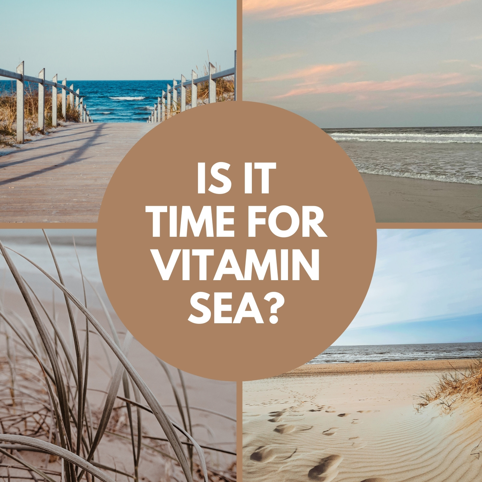 Tan Gold Aqua Blue Beach Holiday Rental Real Estate Graphic