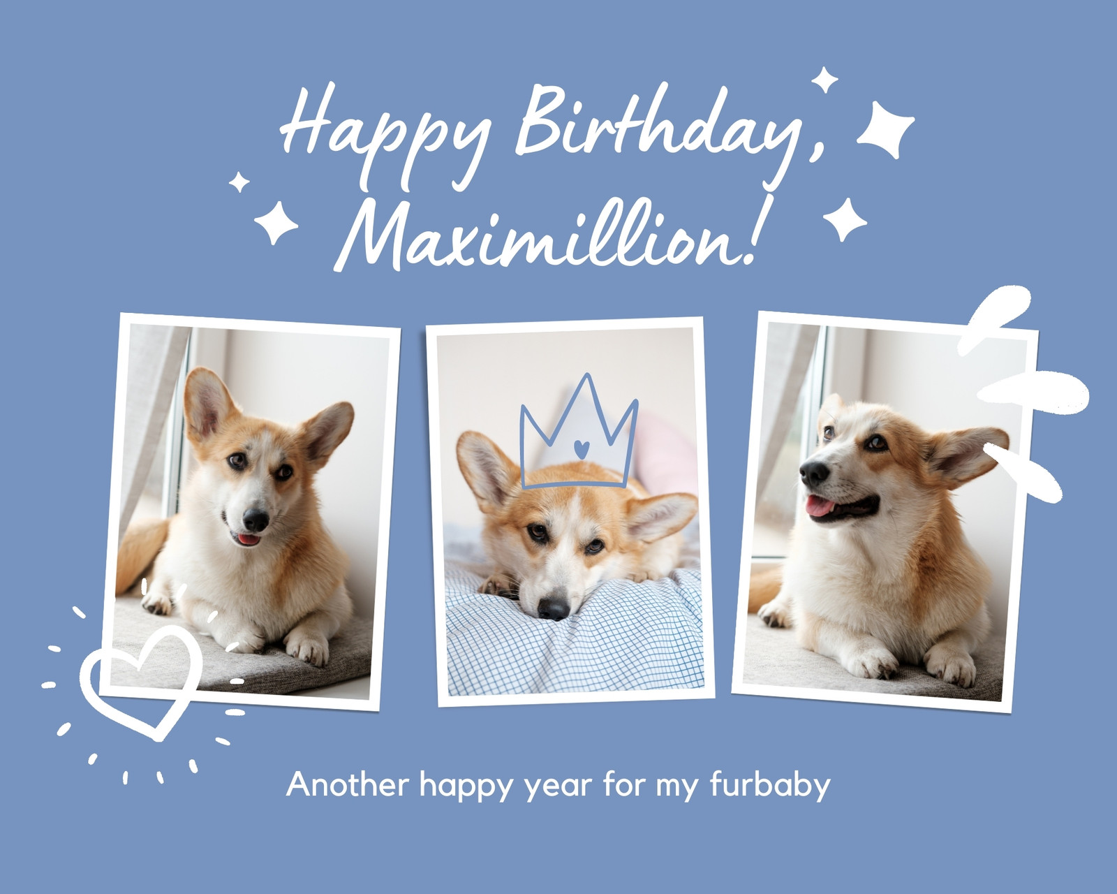 Blue White Cute Pastel Pet Photo Collage Blue White Cute Pastel Pet Photo Collage