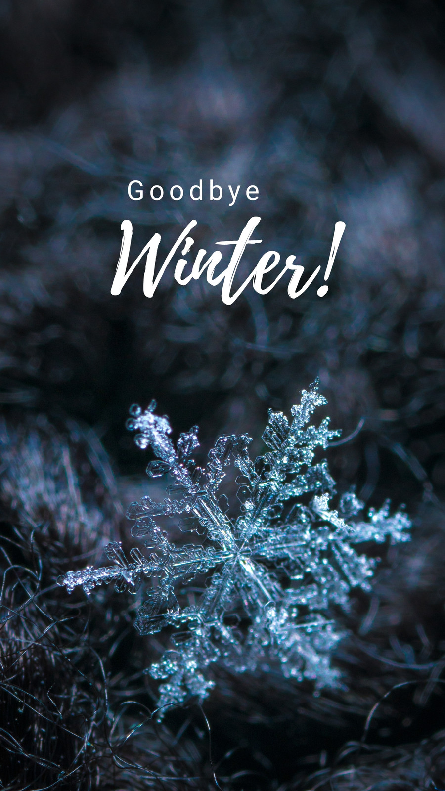 Goodbye winter (Instagram Story)