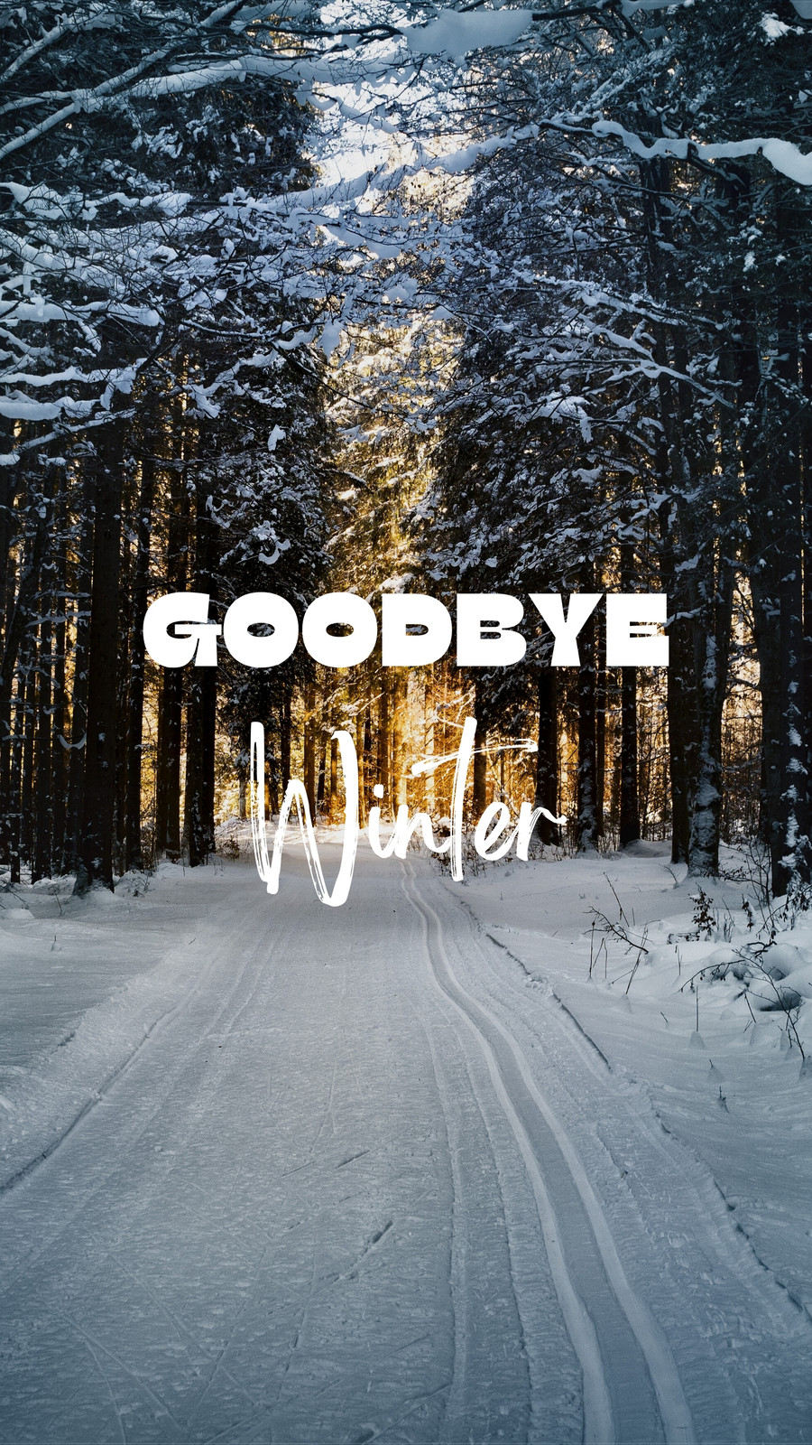 Goodbye Winter (Instagram Story)