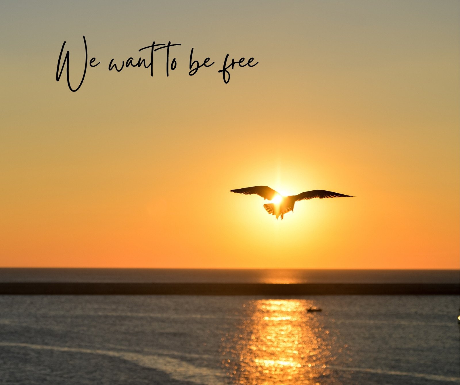 Orange We Want To Be Free Facebook Post