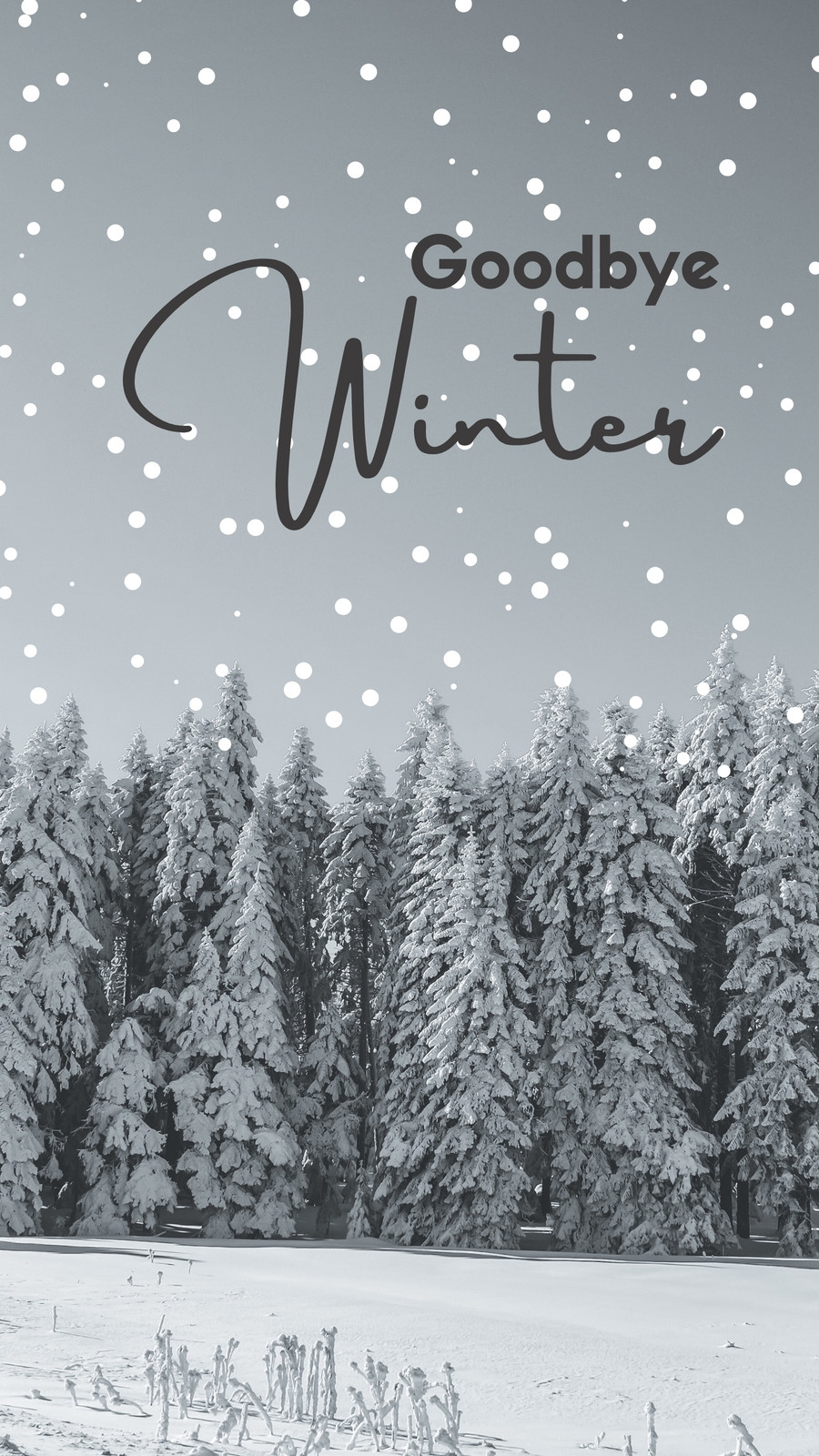 Goodbye Winter Grey (Instagram Story)