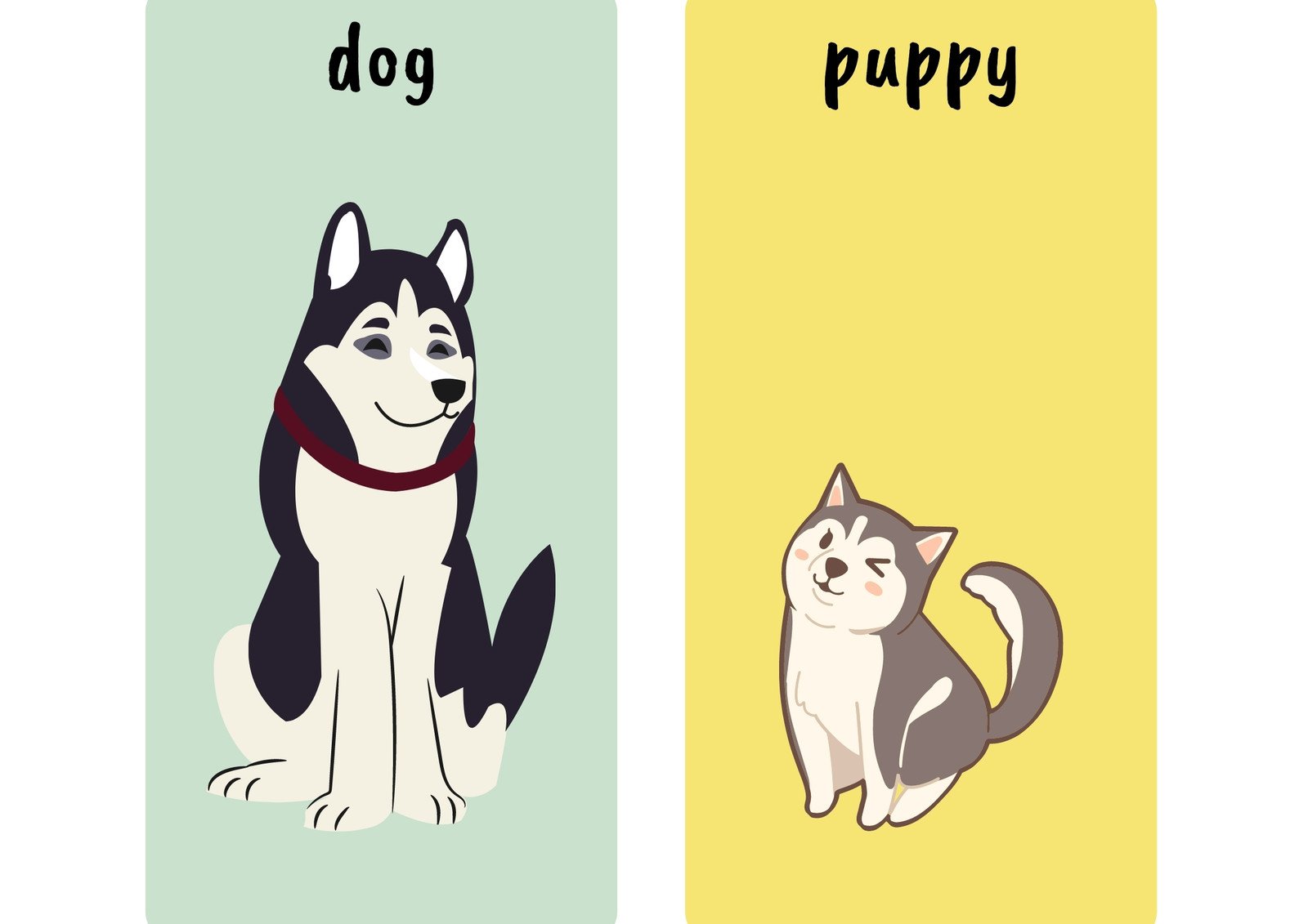 Animals and Their Babies