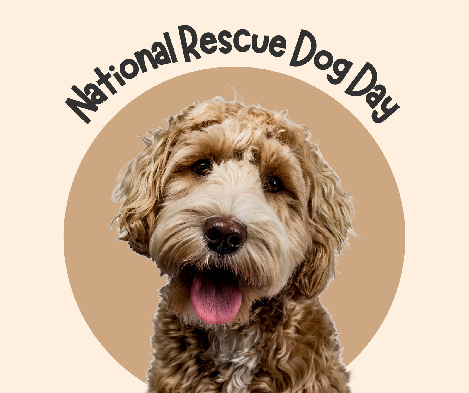 Brown and Yellow Creative Minimalist National Rescue Dog Day Event Celebration Facebook Post