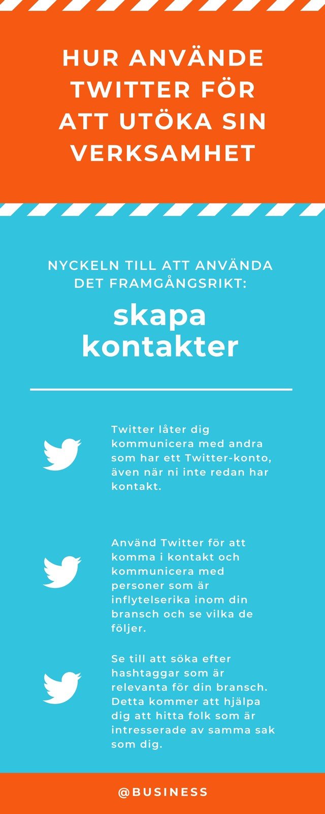 Twitter Företag Sociala Medier Infografik