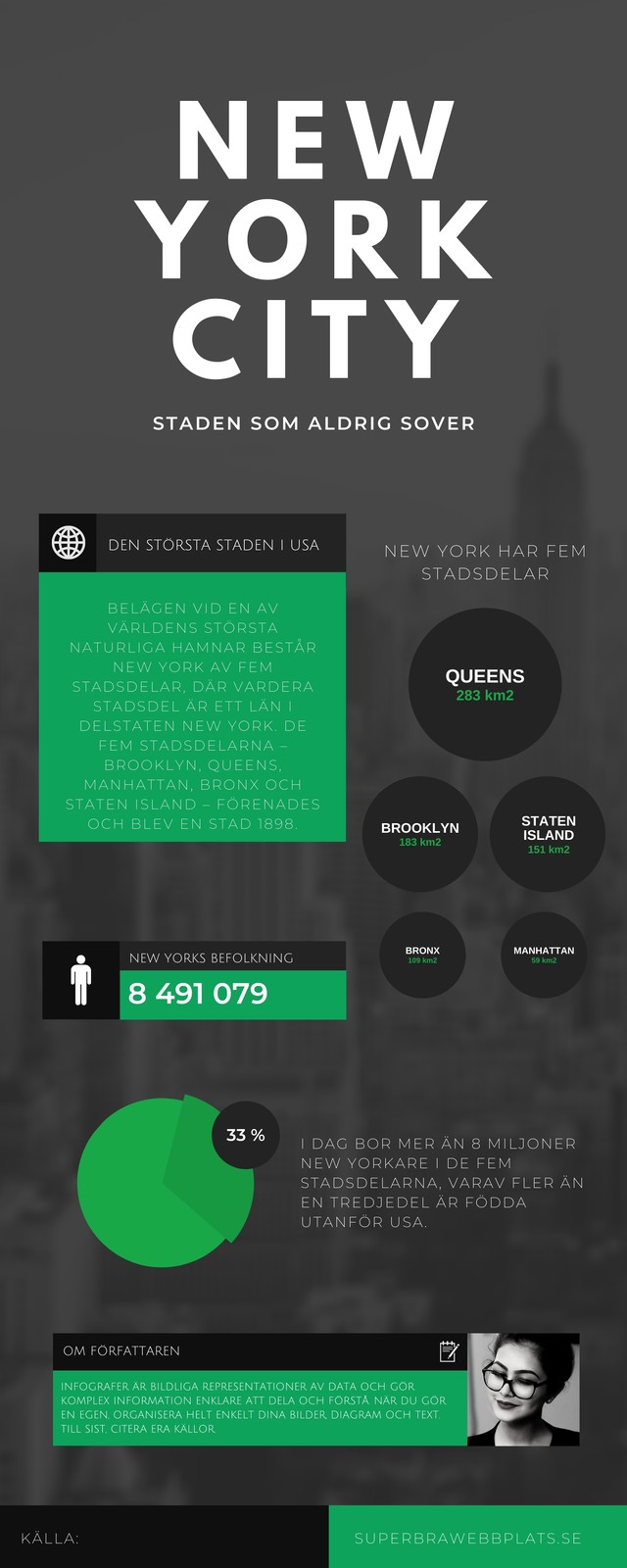 Mörkgrå Grön New York City Infografik