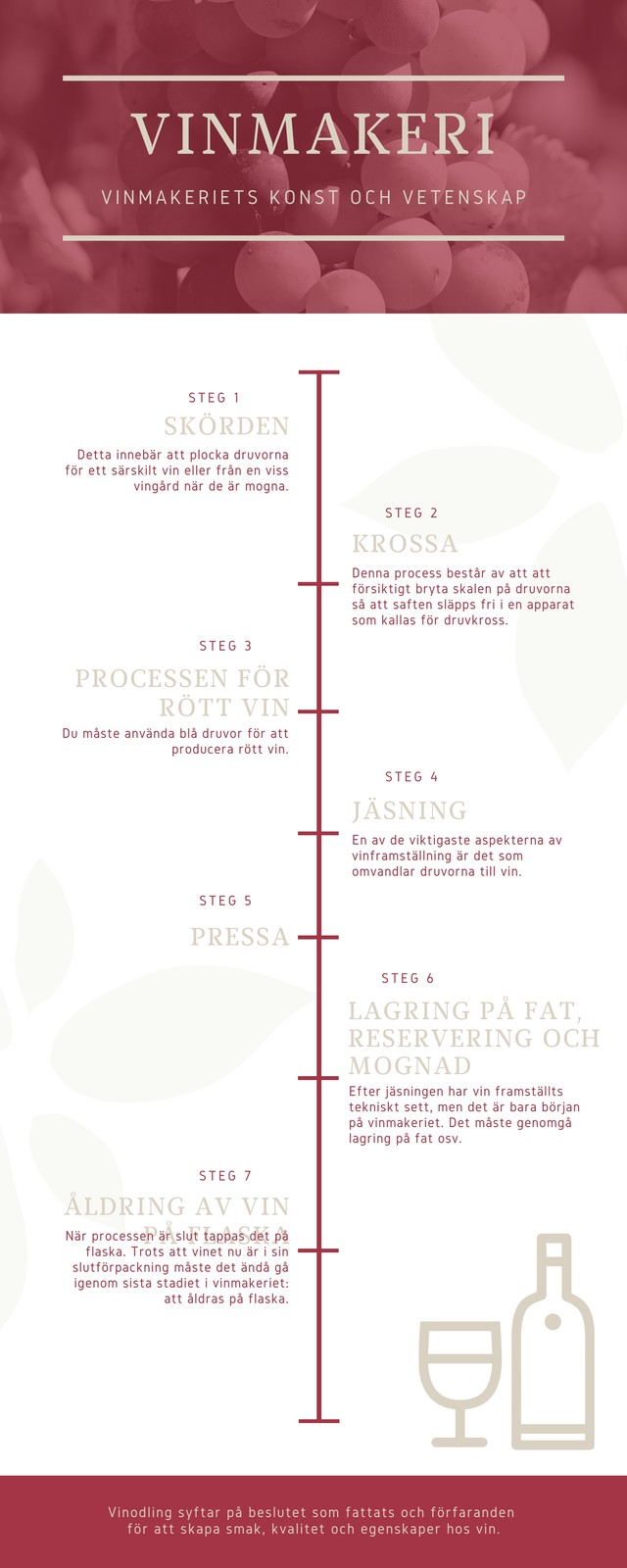 Enkel Röd Vin Tidslinje - Infografik