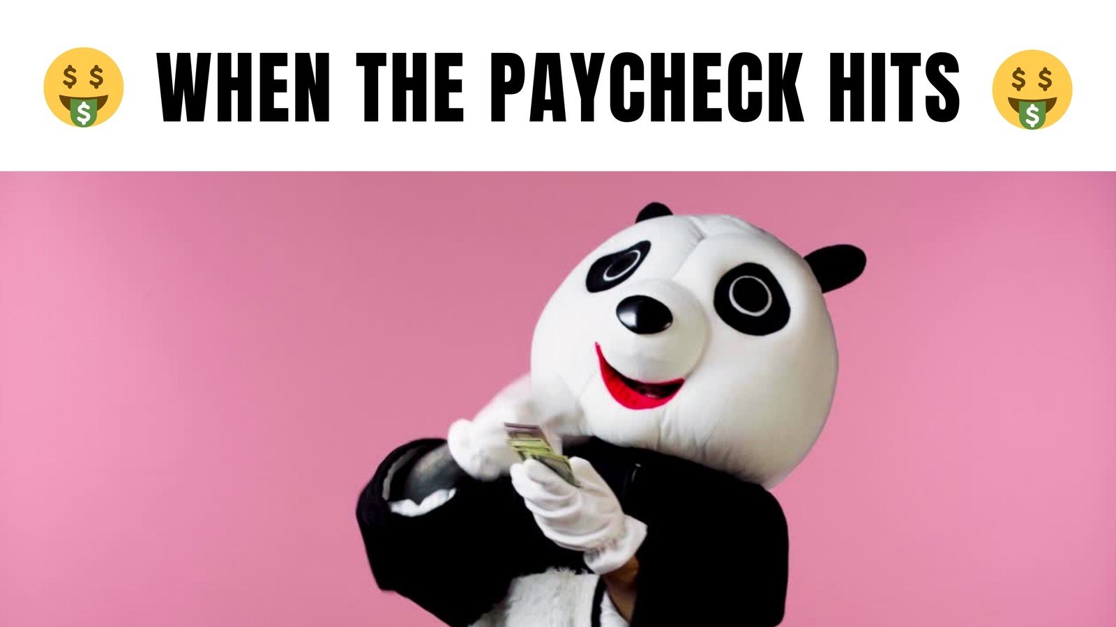 Pink Funny Facial Expressions Meme 16:9 Video