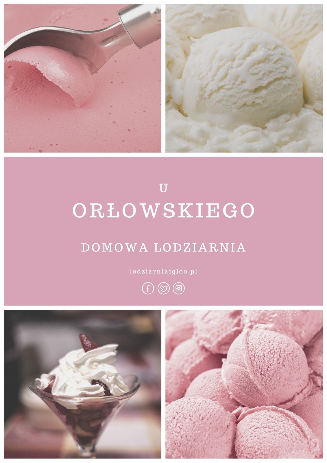 Domowa lodziarnia Igloo Domowa lodziarnia Igloo
