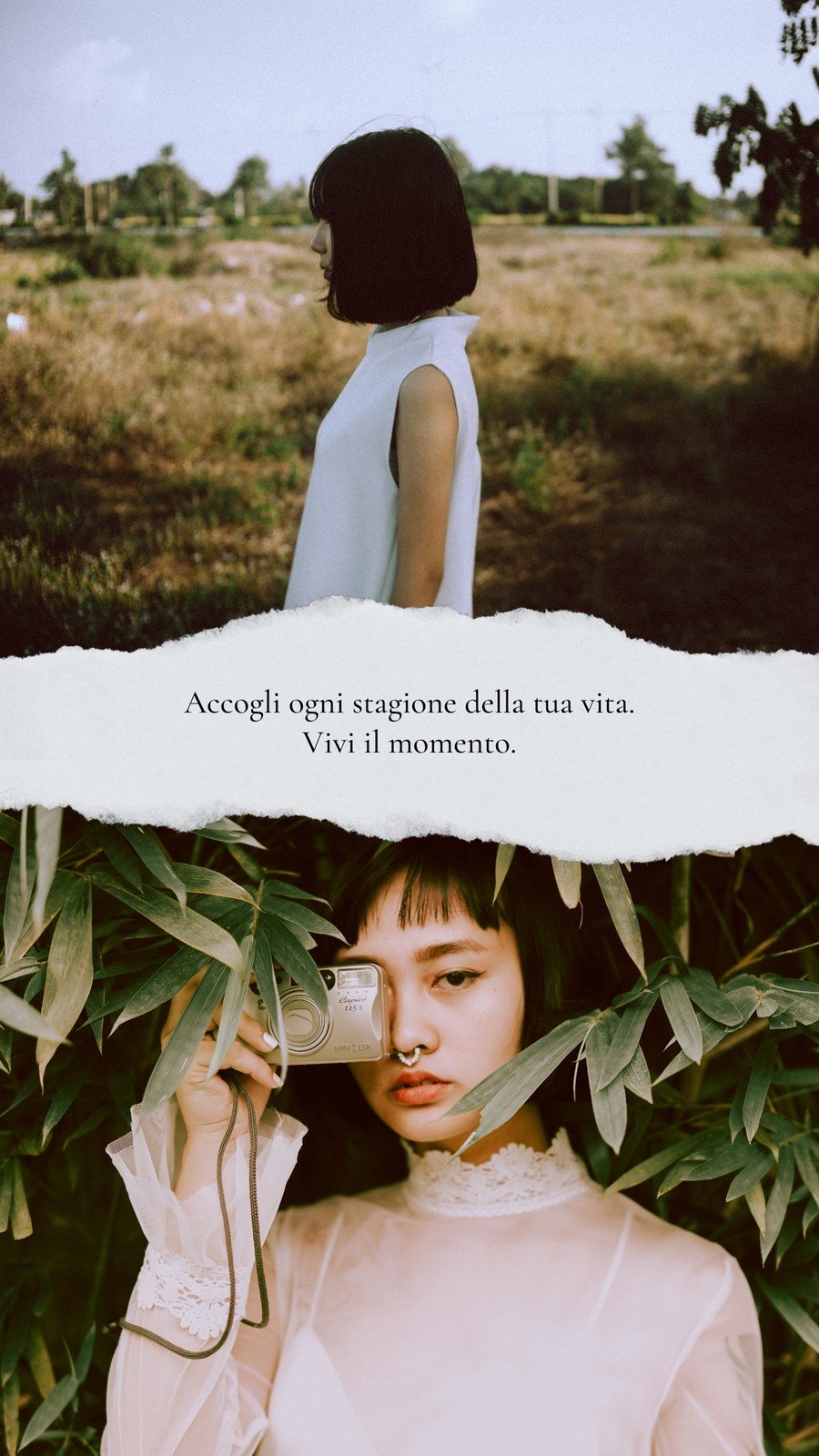 Storia Bianco e Nero Foto Collage Carta Strappata